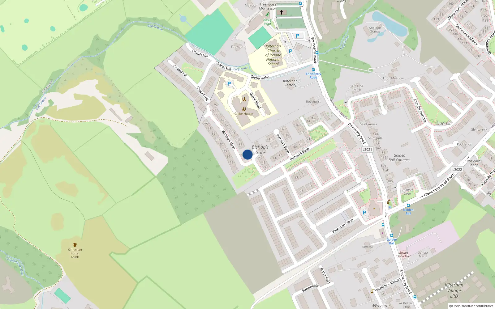 Overhead map showing the location of 54 Bishops Gate, Dublin 18