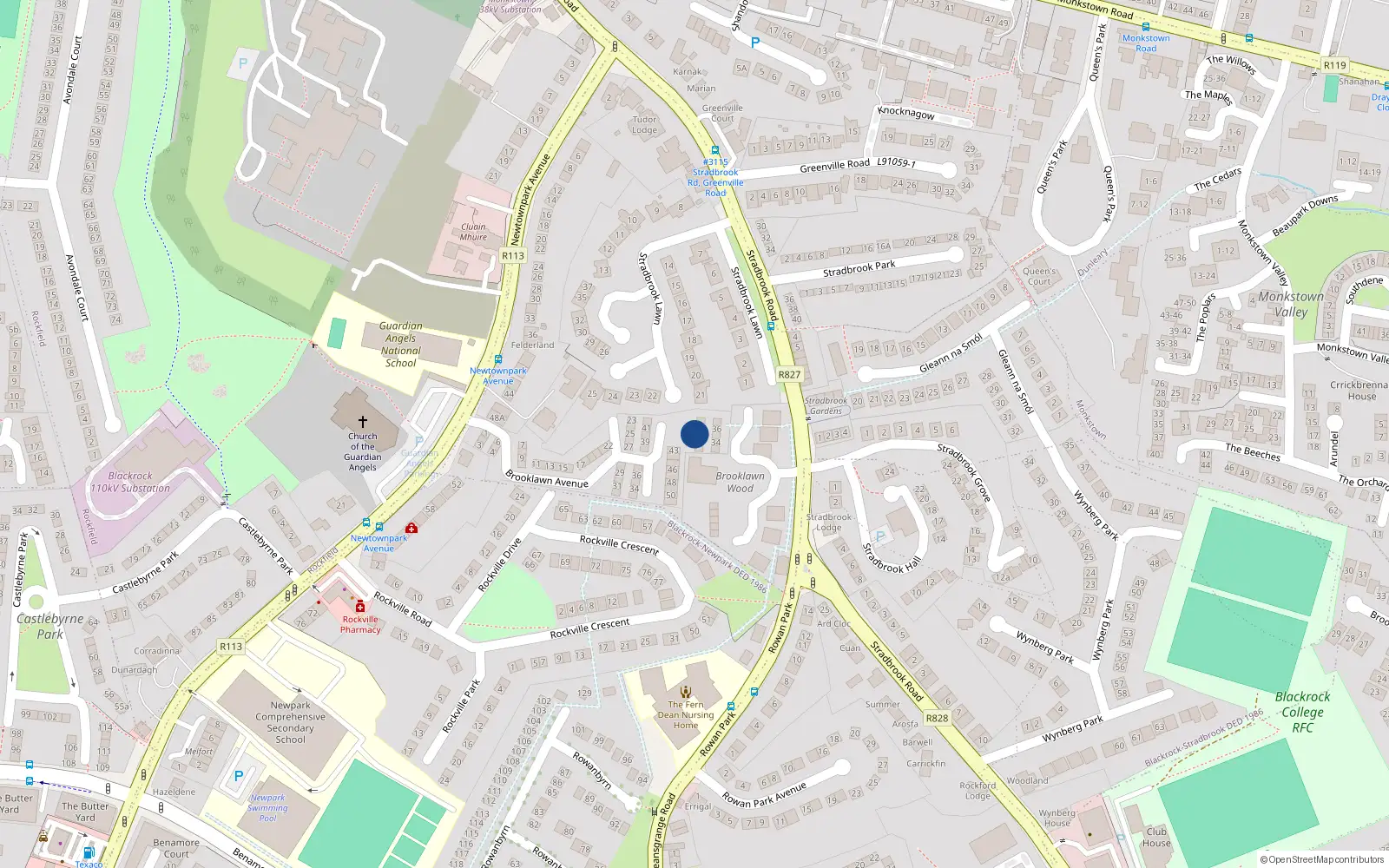 Overhead map showing the location of 54 Brooklawn Avenue, Newtownpark Avenue, Blackrock
