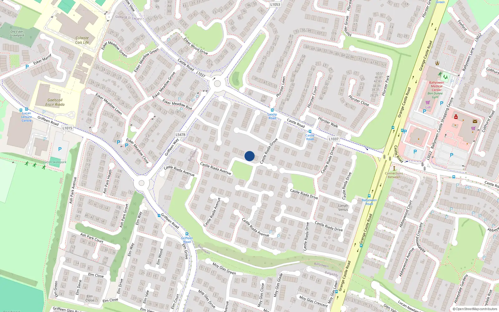 Overhead map showing the location of 54 Castle Riada Grove, Lucan