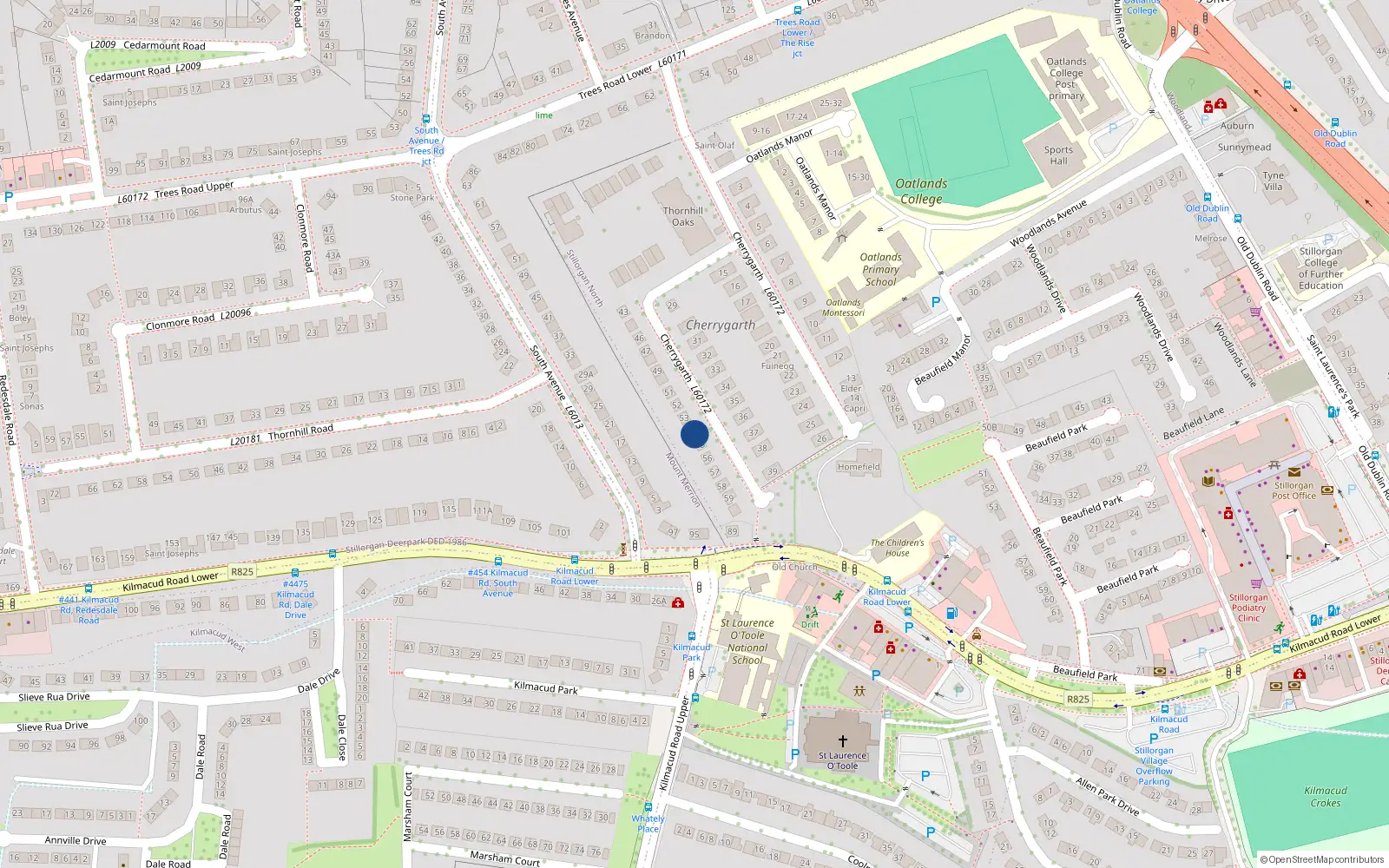 Overhead map showing the location of 54 Cherrygarth, Blackrock