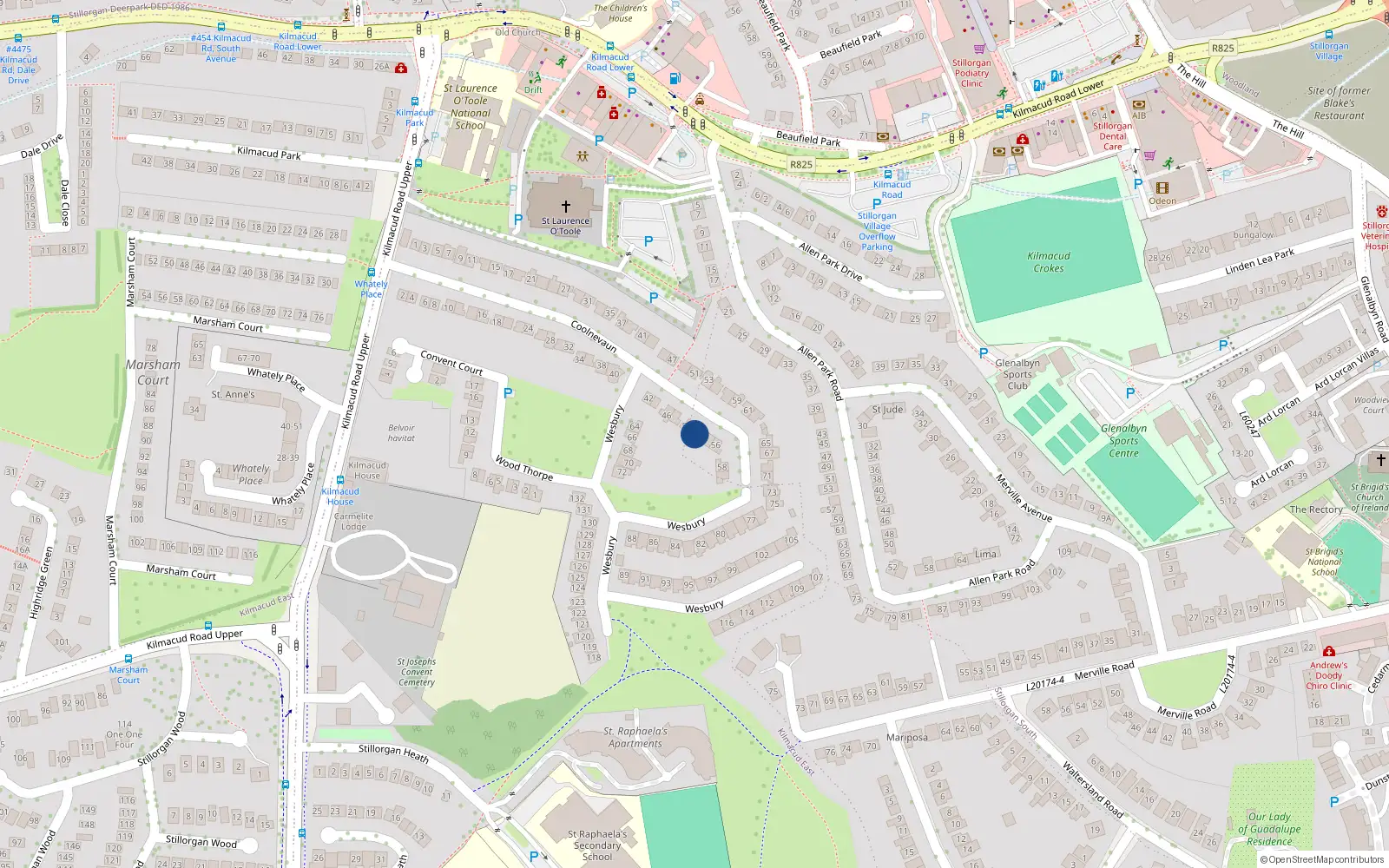 Overhead map showing the location of 54 Coolnevaun, Kilmacud Road Upper, Stillorgan