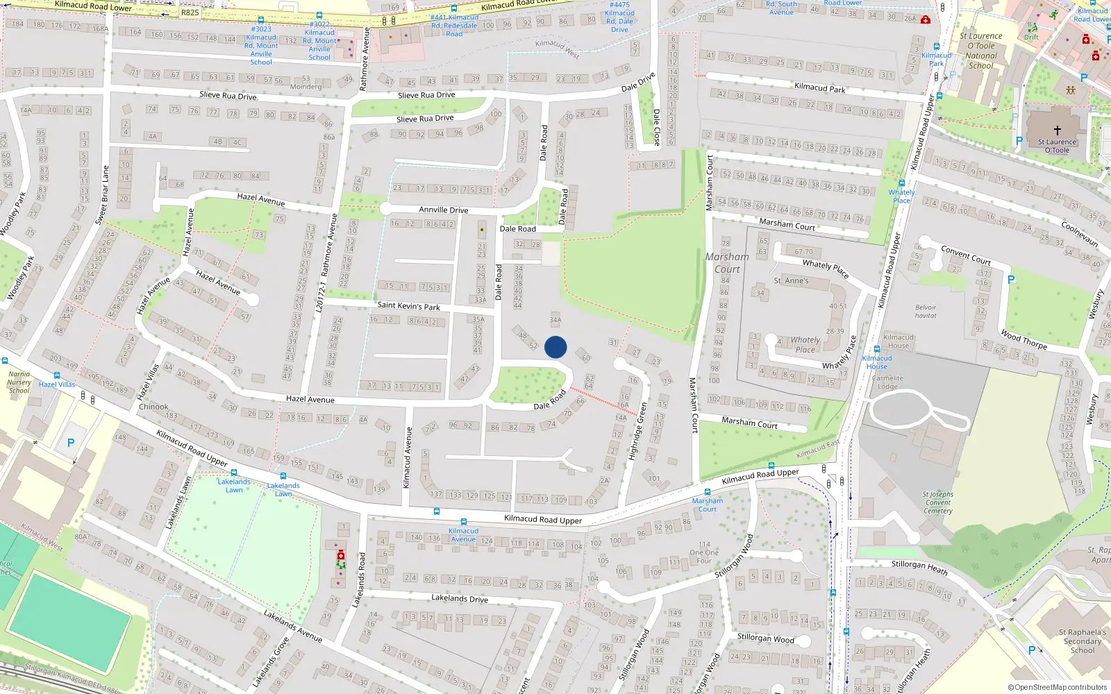 Overhead map showing the location of 54 Dale Road, Dublin