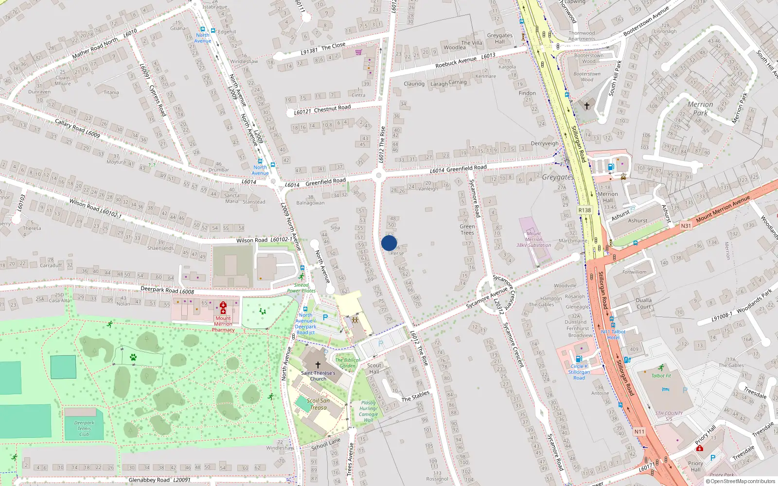 Overhead map showing the location of 54 the Rise, Mount Merrion, Dublin