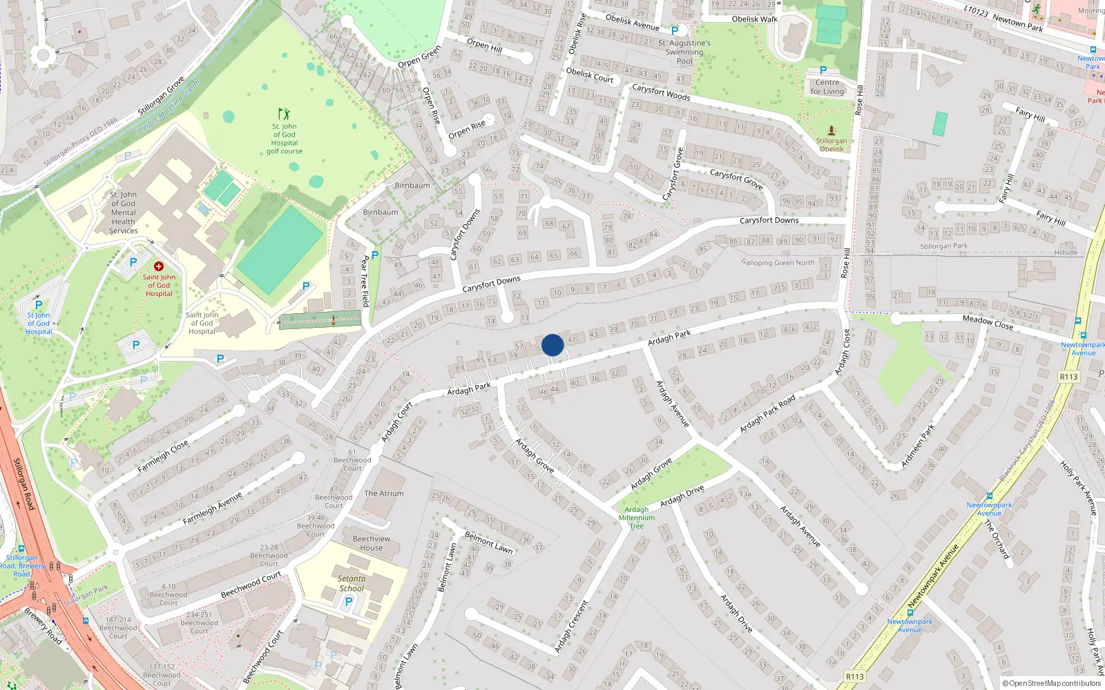 Overhead map showing the location of 55 Ardagh Park, Blackrock, Dublin