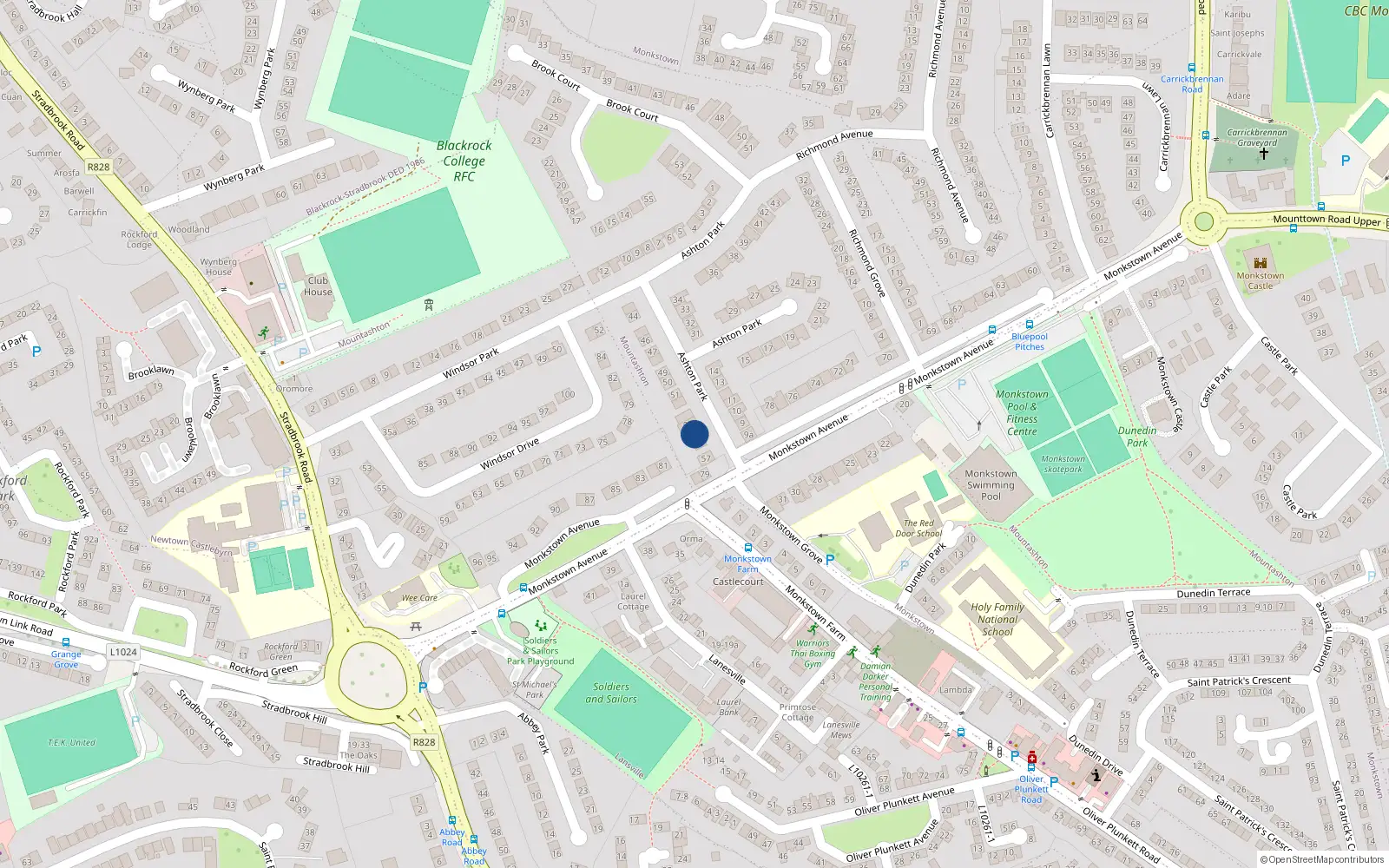 Overhead map showing the location of 55 Ashton Park, Monkstown