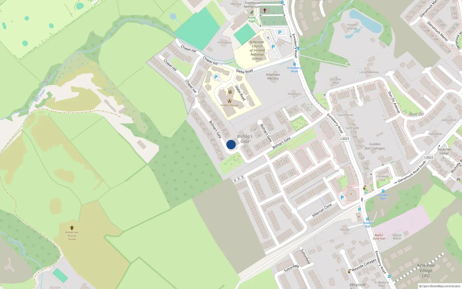 Overhead map showing the location of 55 Bishops Gate, Dublin 18