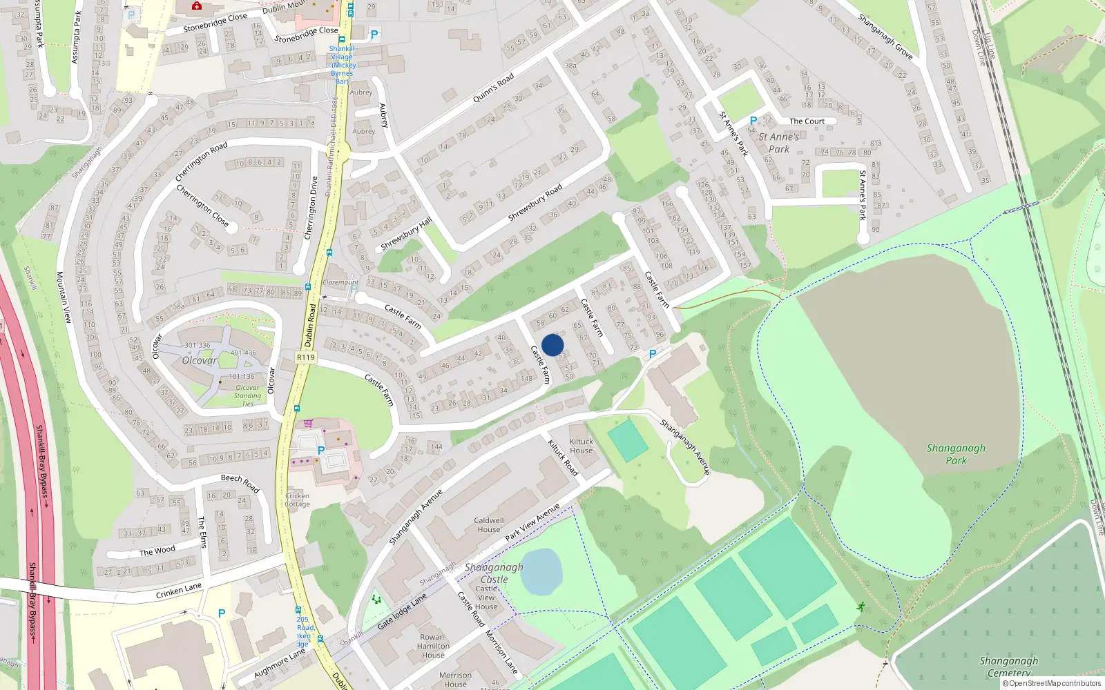 Overhead map showing the location of 55 Castle Farm, Shankill