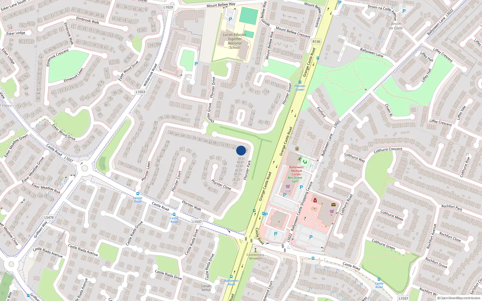 Overhead map showing the location of 55 Fforster Park, Lucan