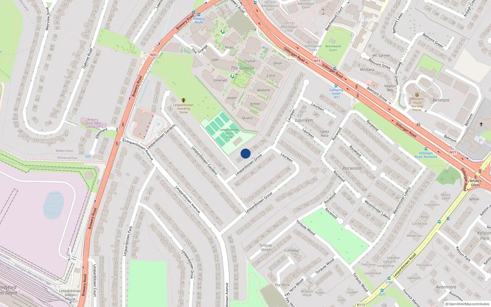 Overhead map showing the location of 55 Leopardstown Grove, Dublin