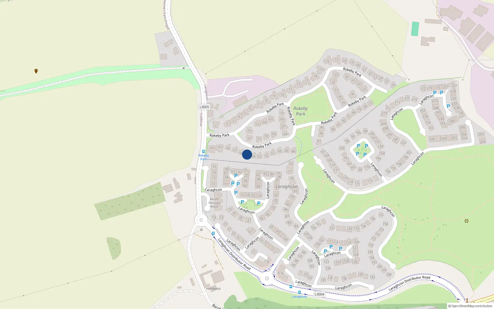 Overhead map showing the location of 55 Rokeby Park, Lucan