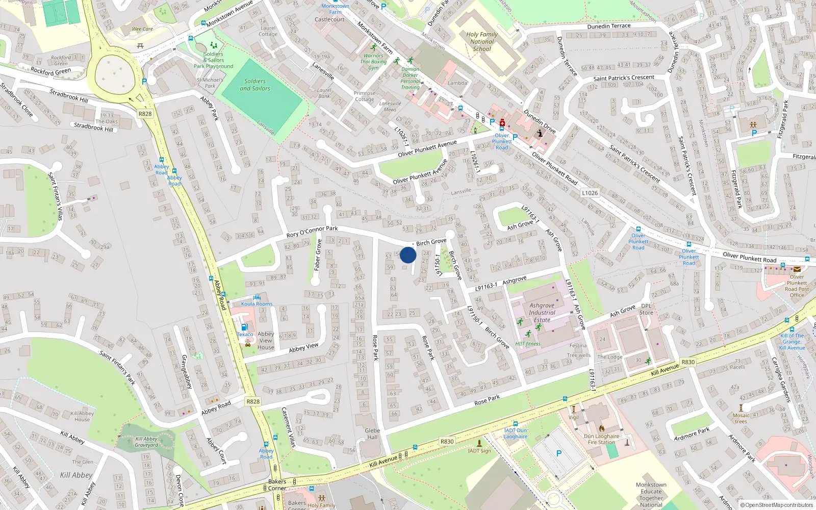 Overhead map showing the location of 55 Rory O'Connor Park, Co Dublin