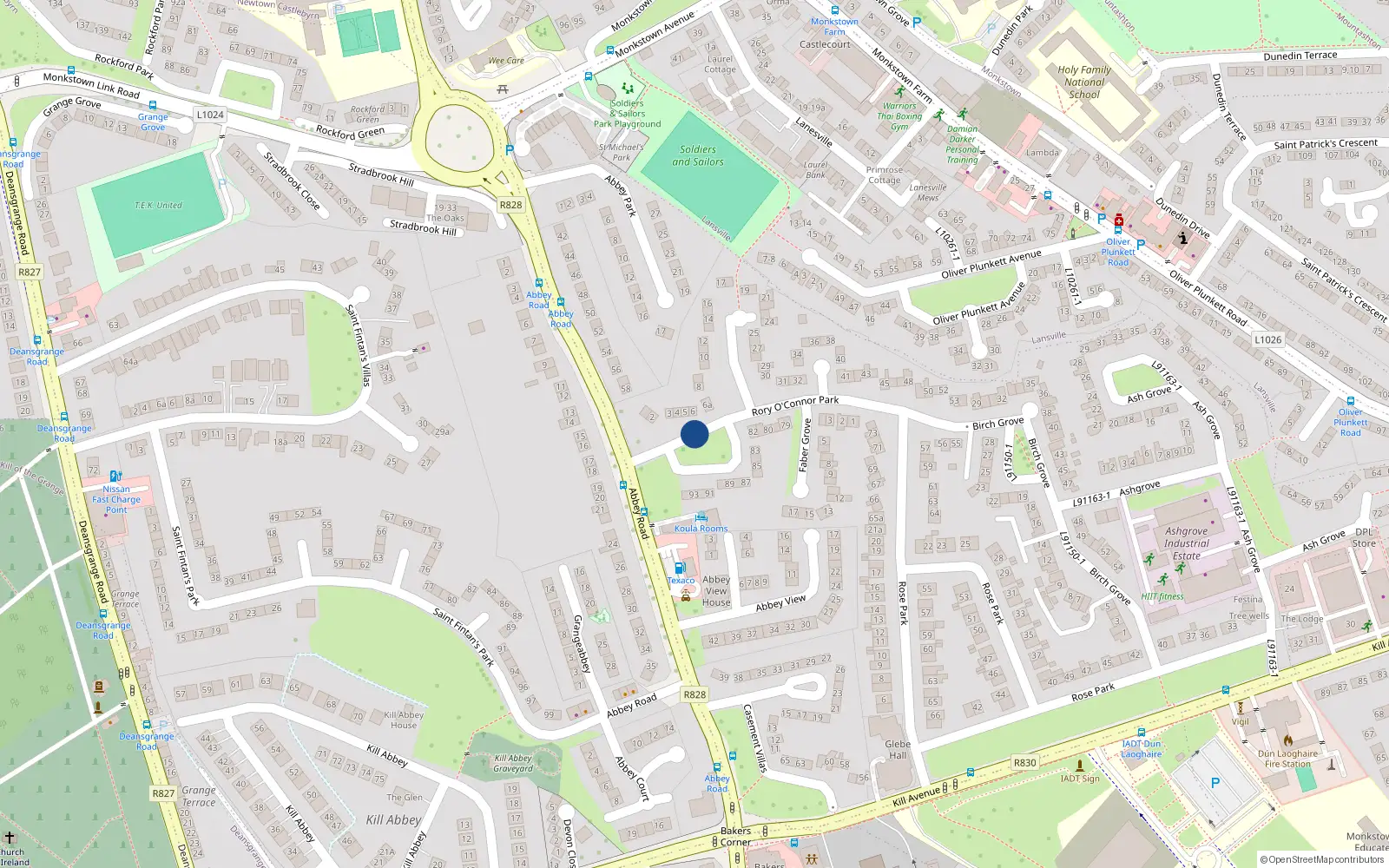 Overhead map showing the location of 55 Rory O'Connor Park, Dun Laoghaire