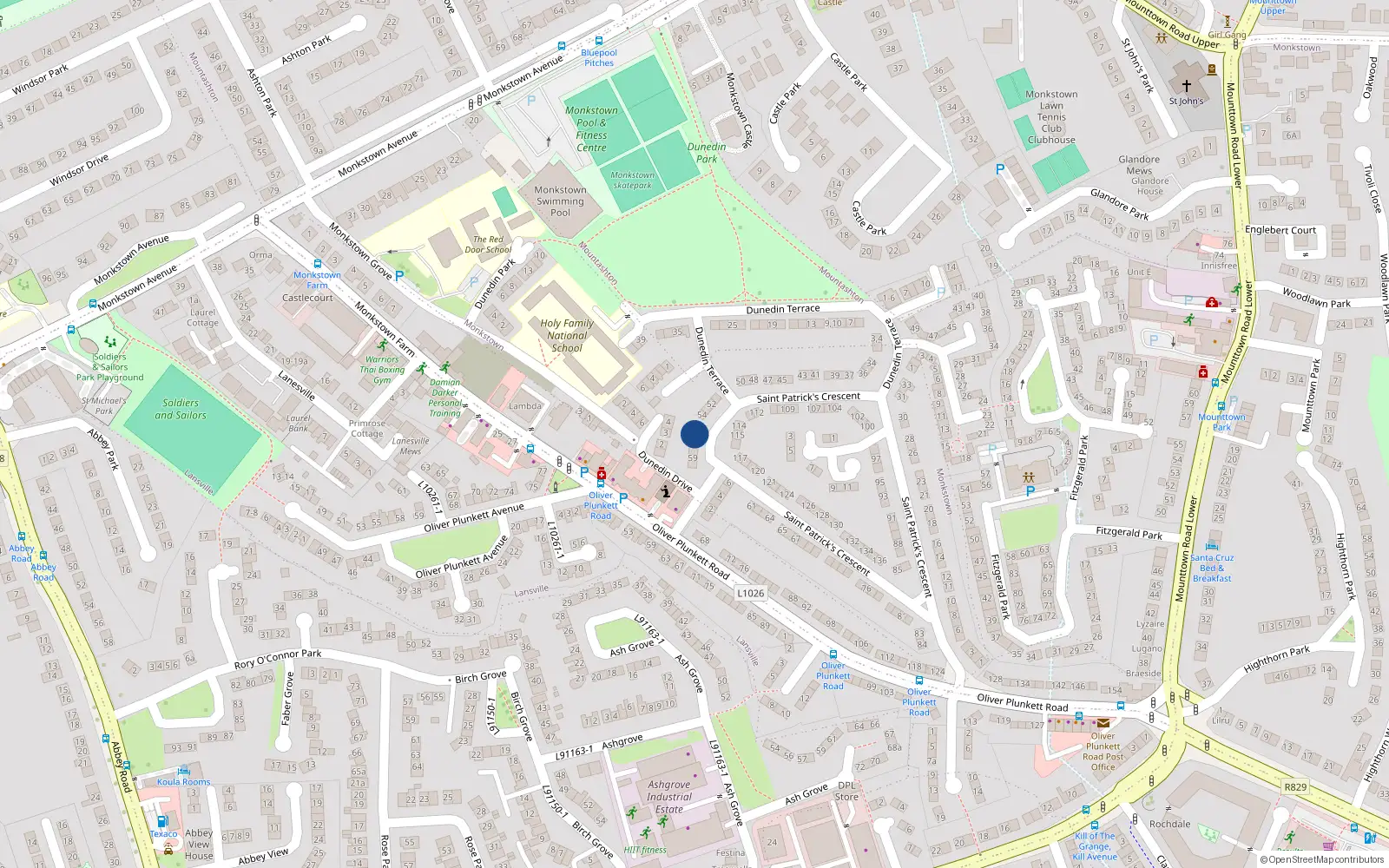 Overhead map showing the location of 55 St Patricks Crescent, Monkstown Farm, Dun Laoghaire