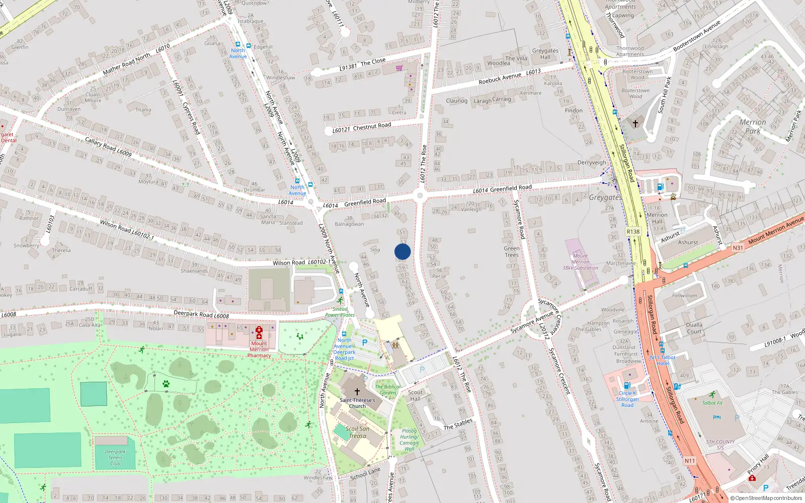 Overhead map showing the location of 55 The Rise, Blackrock