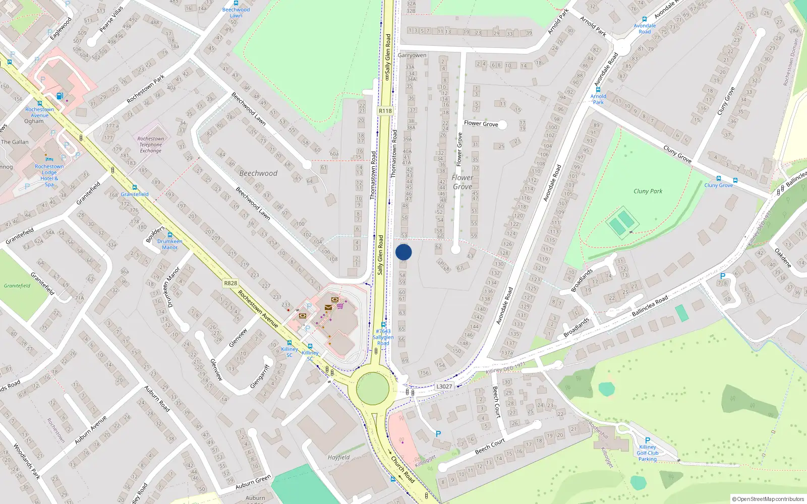 Overhead map showing the location of 55 Thomastown Road, Dublin