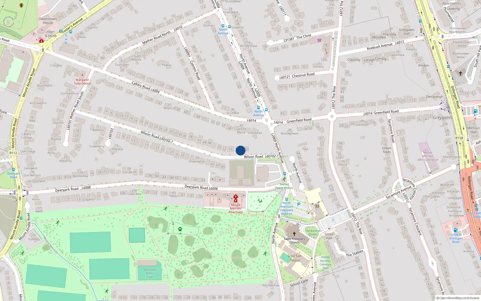 Overhead map showing the location of 55 Wilson Road, Blackrock