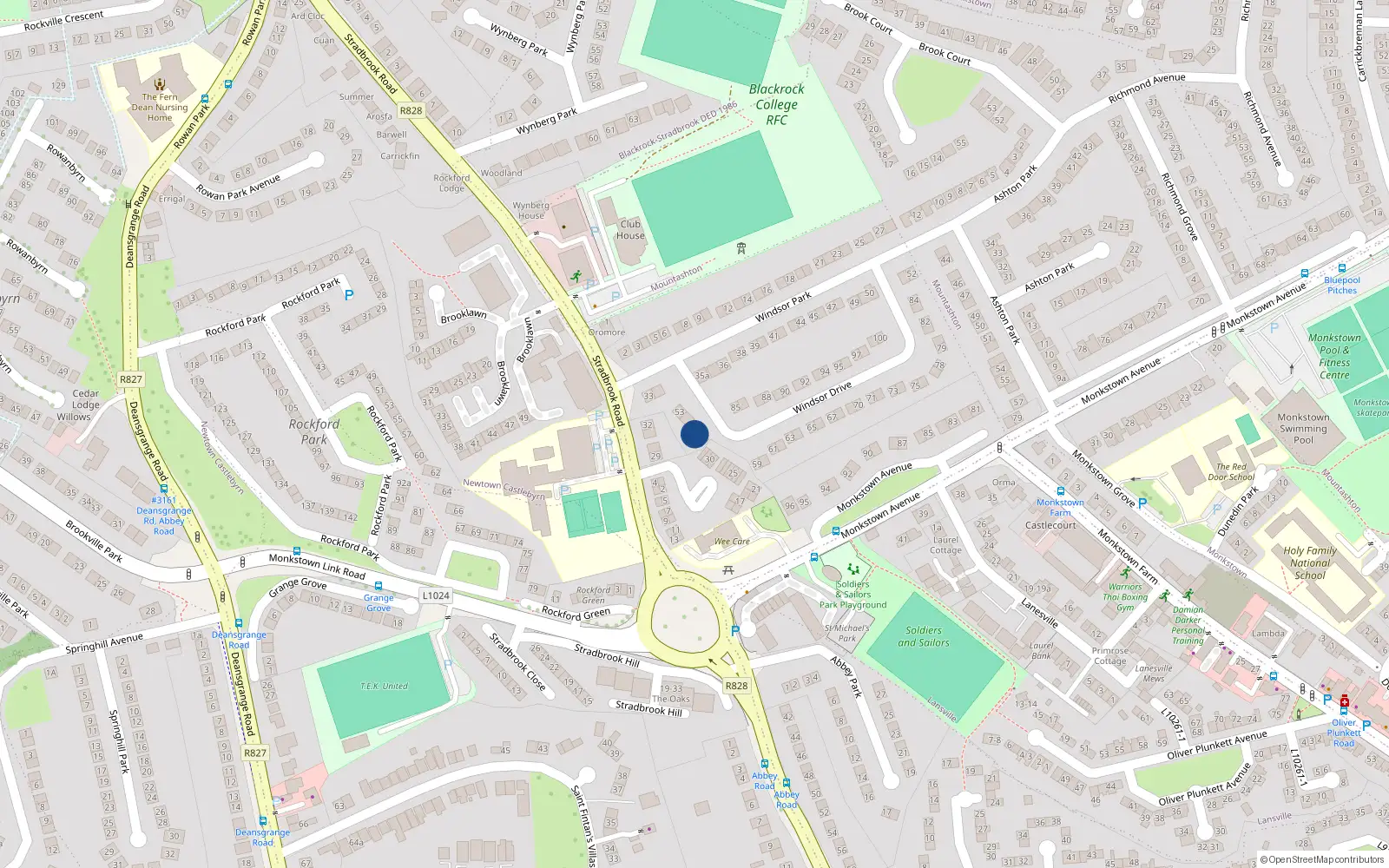 Overhead map showing the location of 55 Windsor Drive, Monkstown