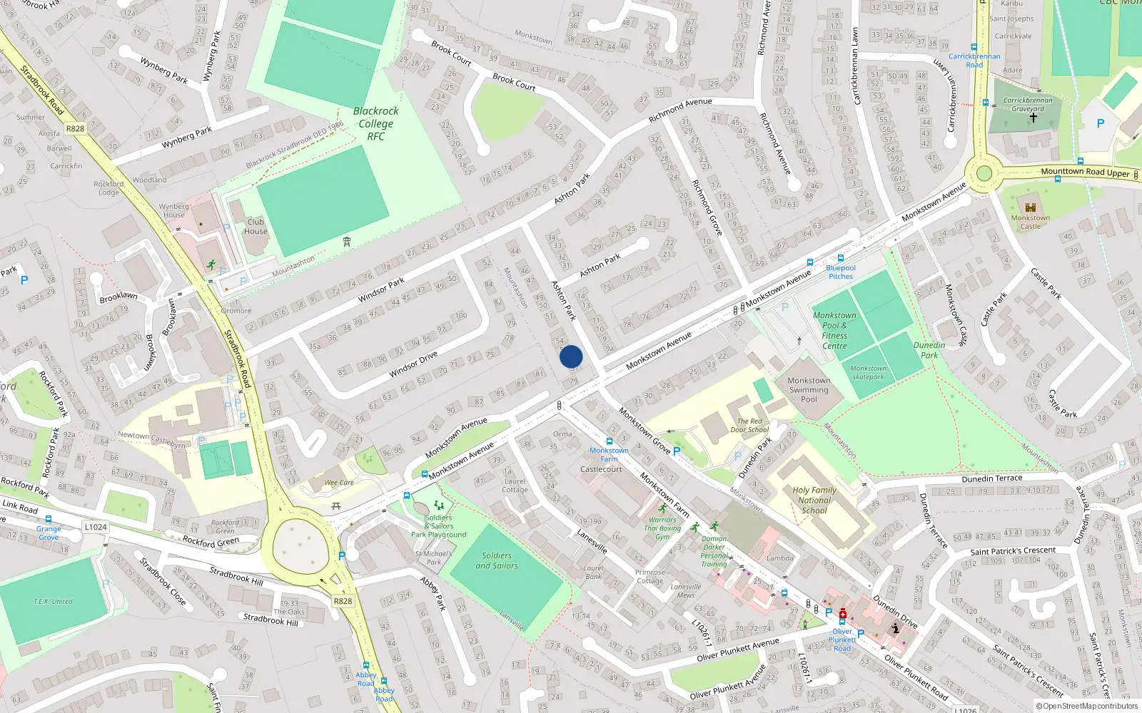 Overhead map showing the location of 56 Ashton Park, Monkstown