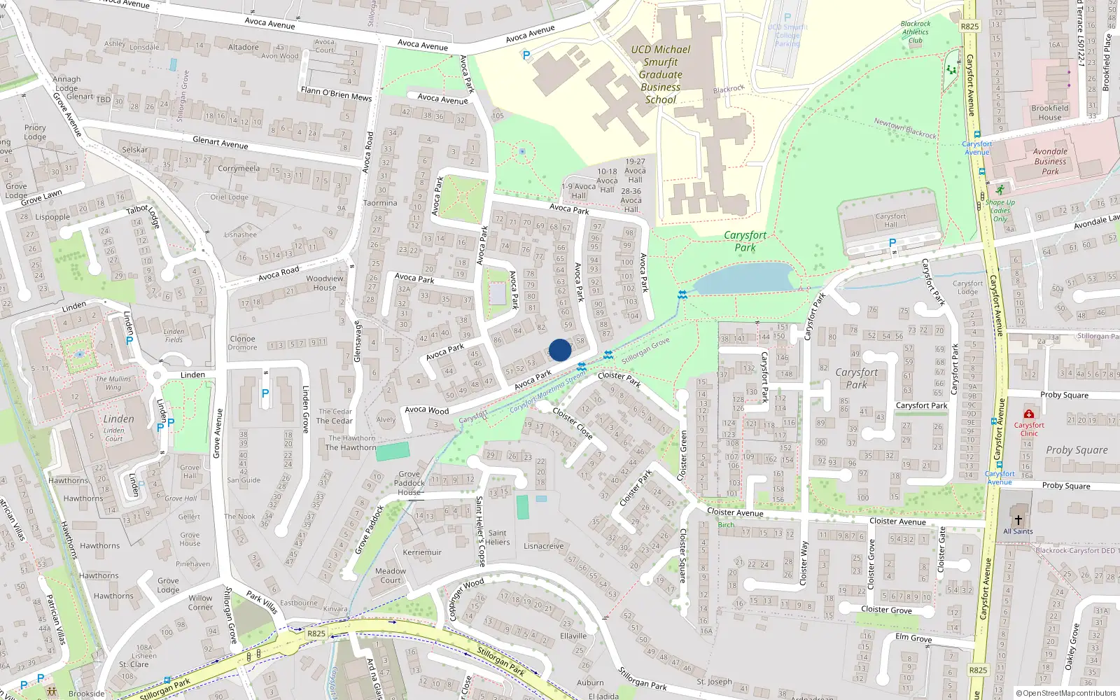 Overhead map showing the location of 56 Avoca Park, Blackrock