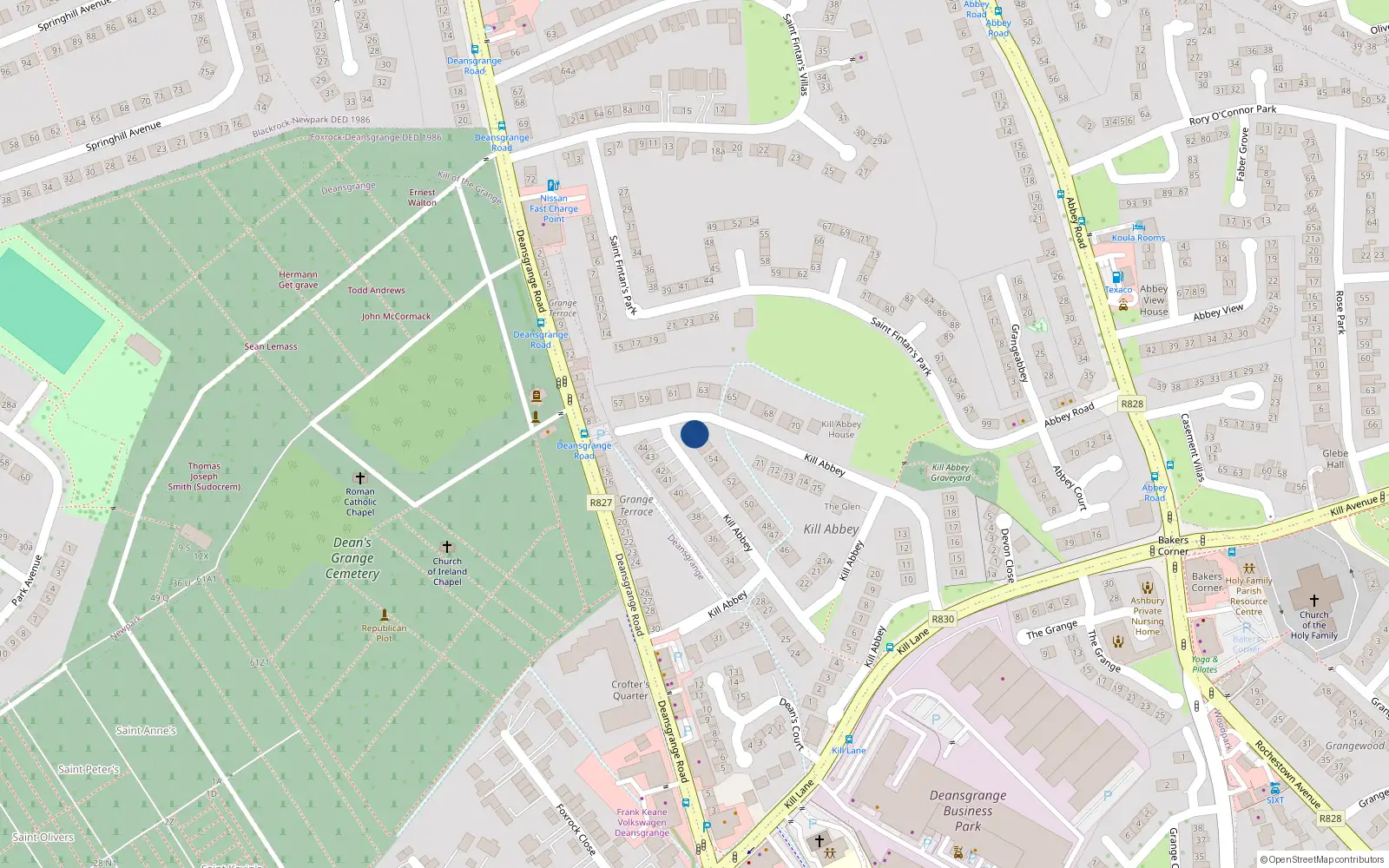 Overhead map showing the location of 56 Kill Abbey, Blackrock