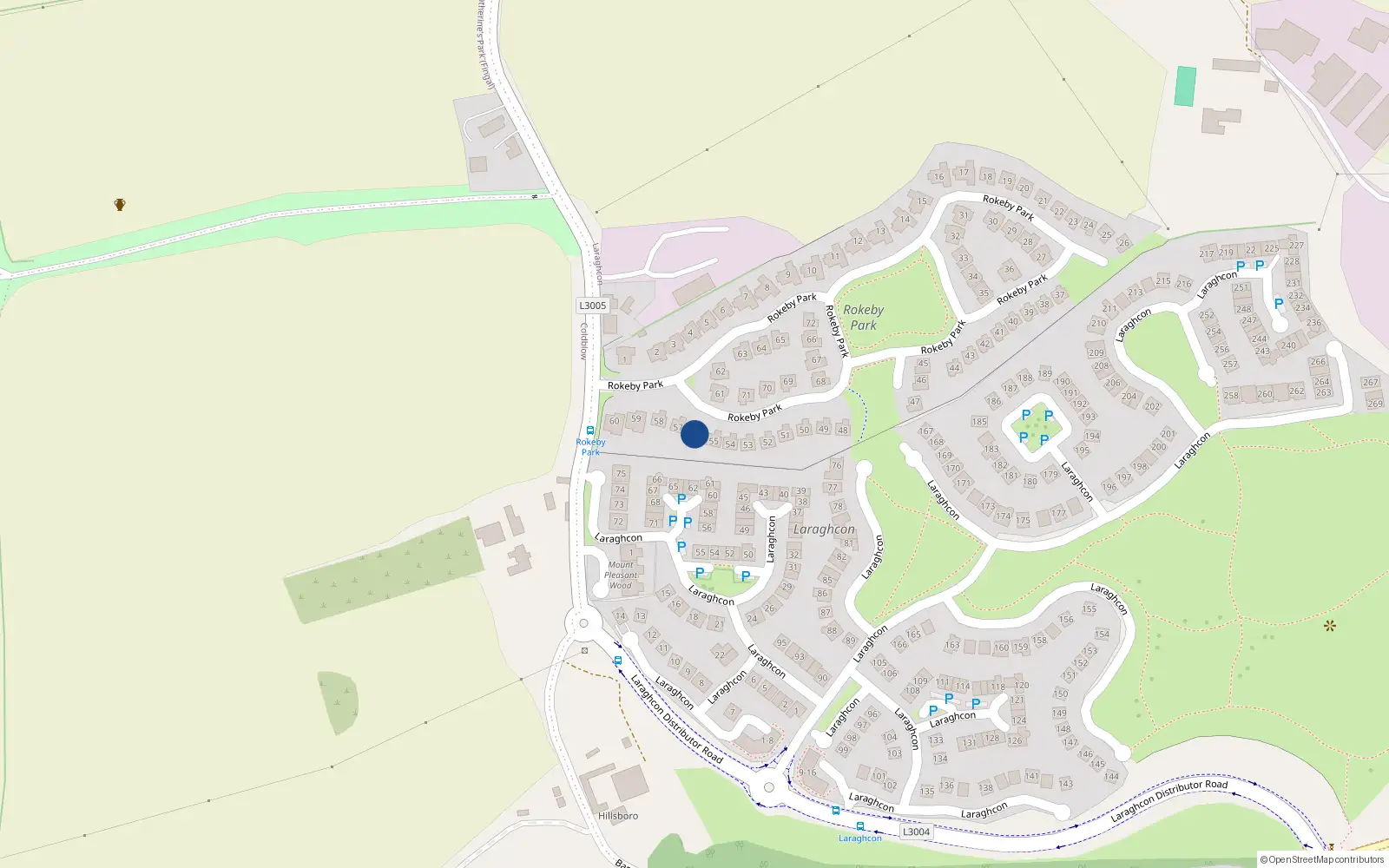 Overhead map showing the location of 56 Rokeby Park, Lucan