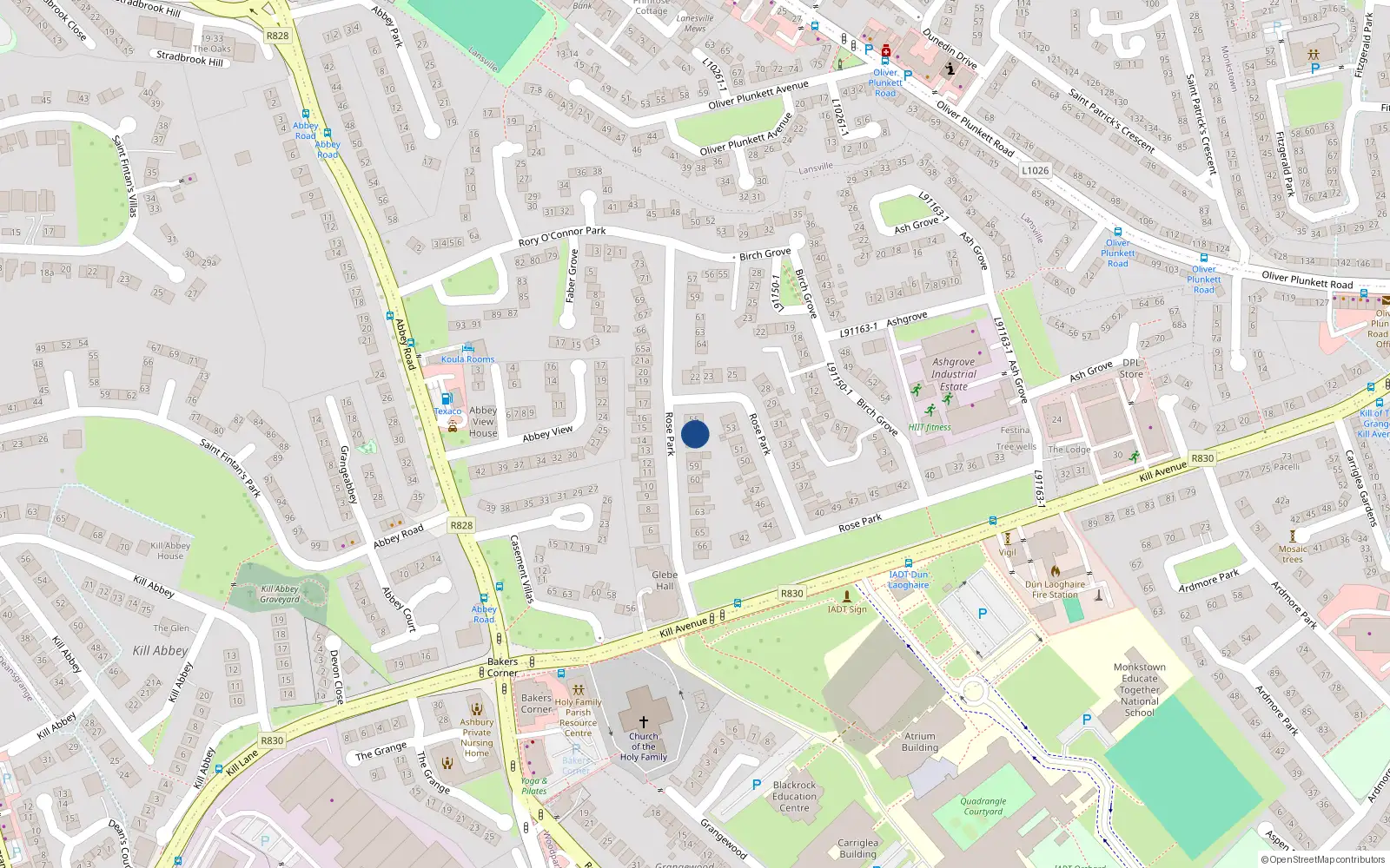 Overhead map showing the location of 56 Rose Park, Dun Laoghaire