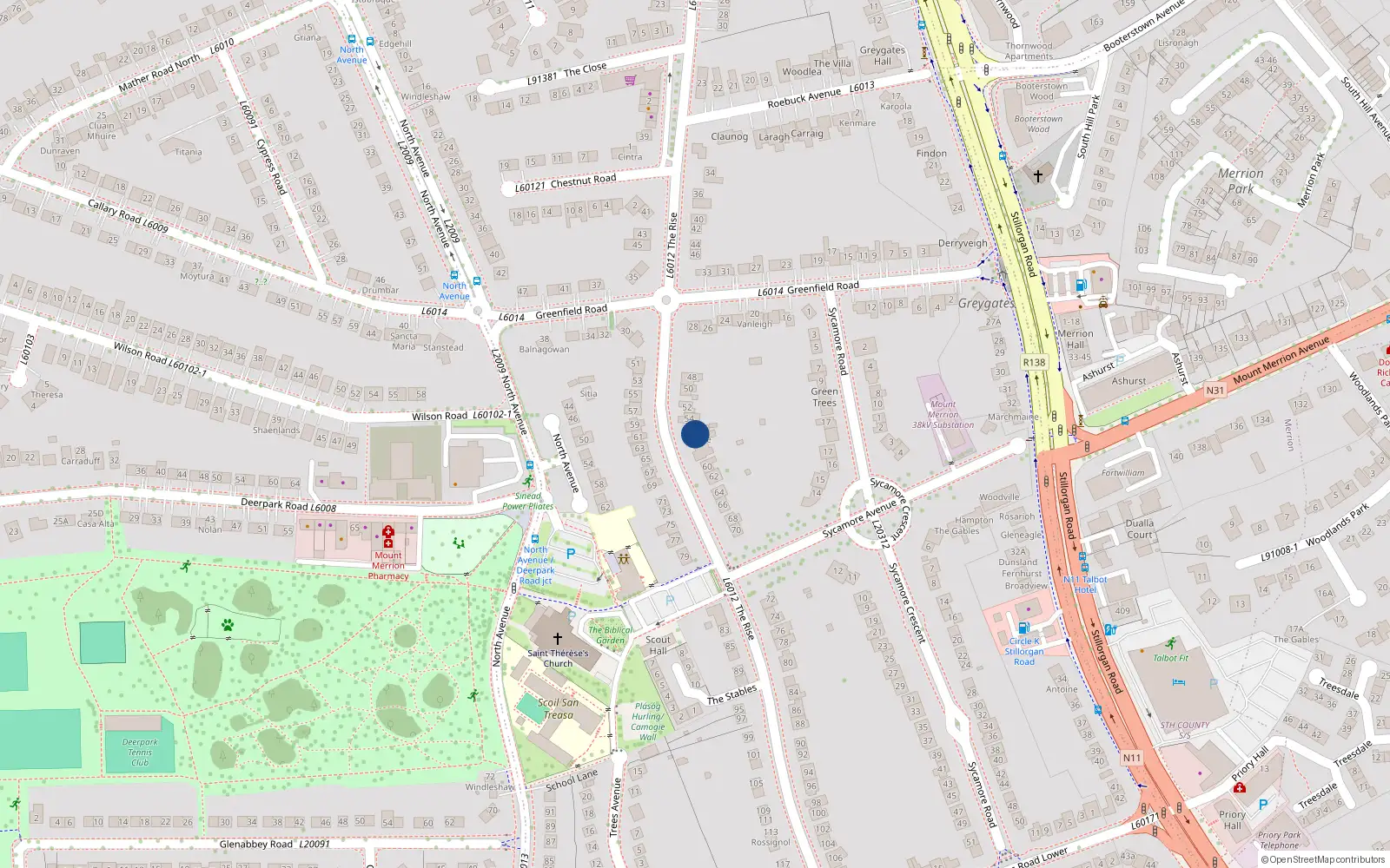 Overhead map showing the location of 56 The Rise, Blackrock