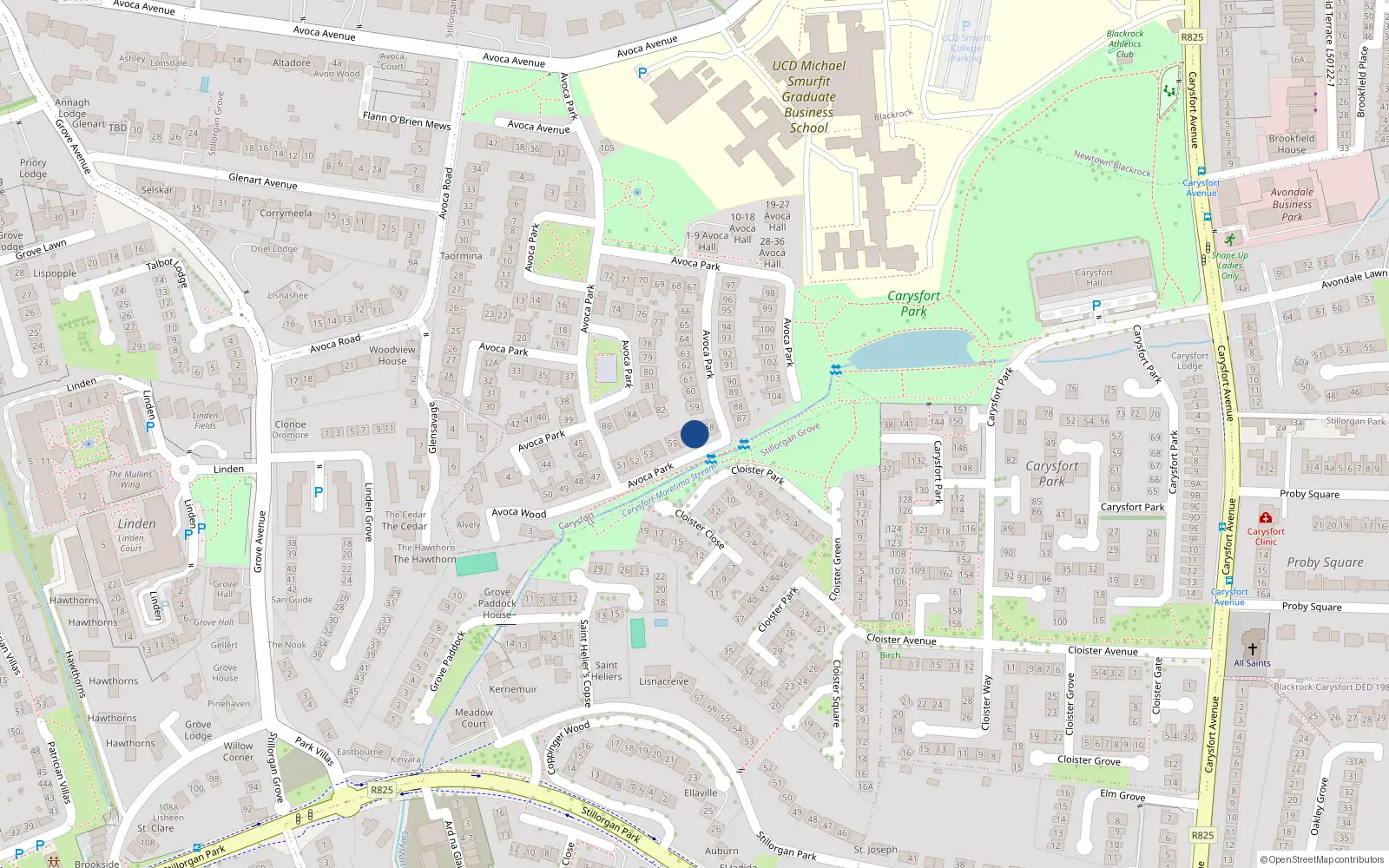 Overhead map showing the location of 57 Avoca Park, Blackrock, Co Dublin