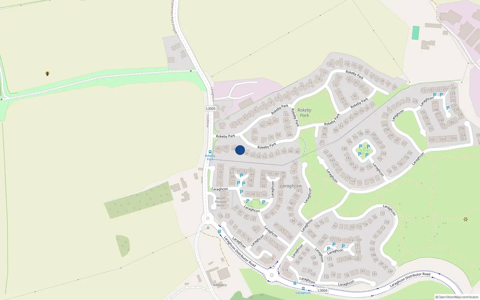 Overhead map showing the location of 57 Rokeby Park, Lucan