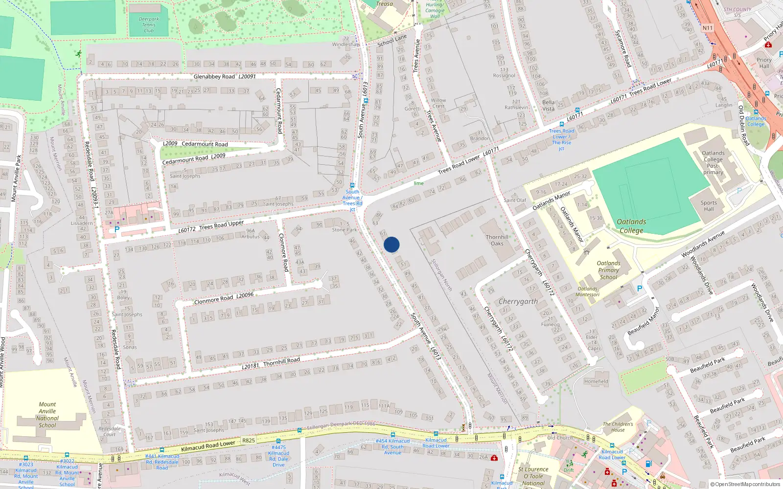 Overhead map showing the location of 57 South Avenue, Blackrock