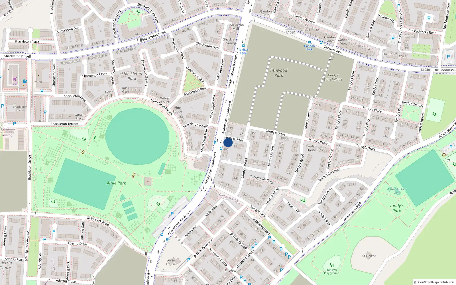 Overhead map showing the location of 57 Tandy's Drive, Lucan