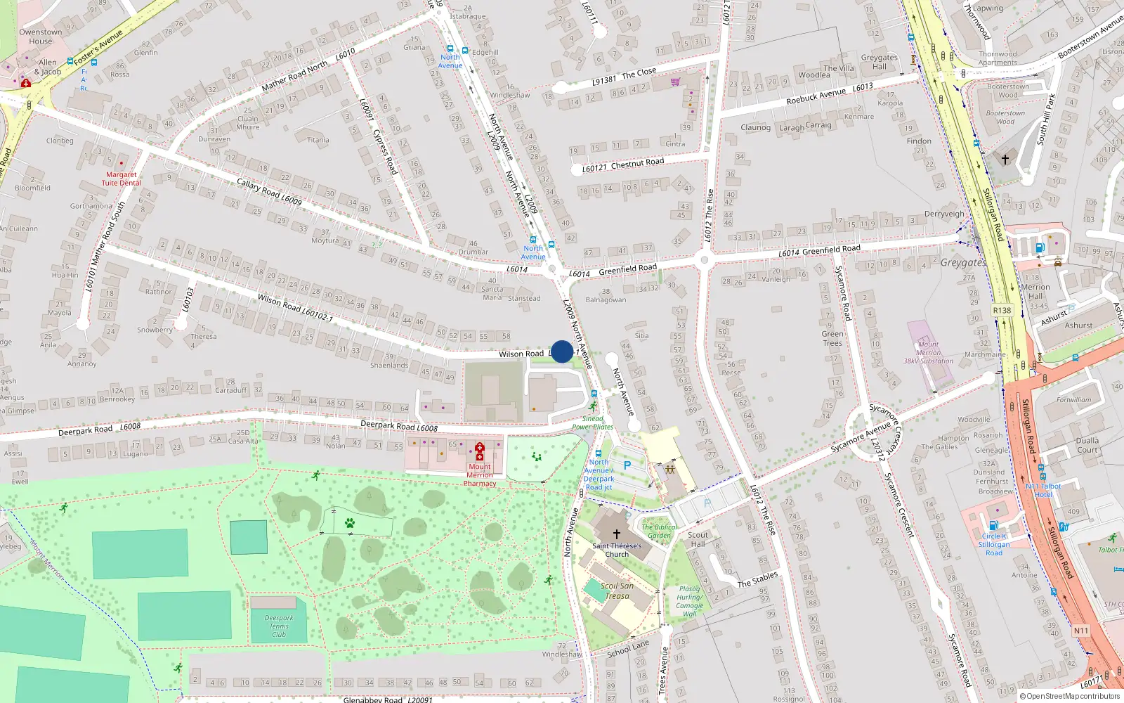 Overhead map showing the location of 57 Wilson Road, Blackrock
