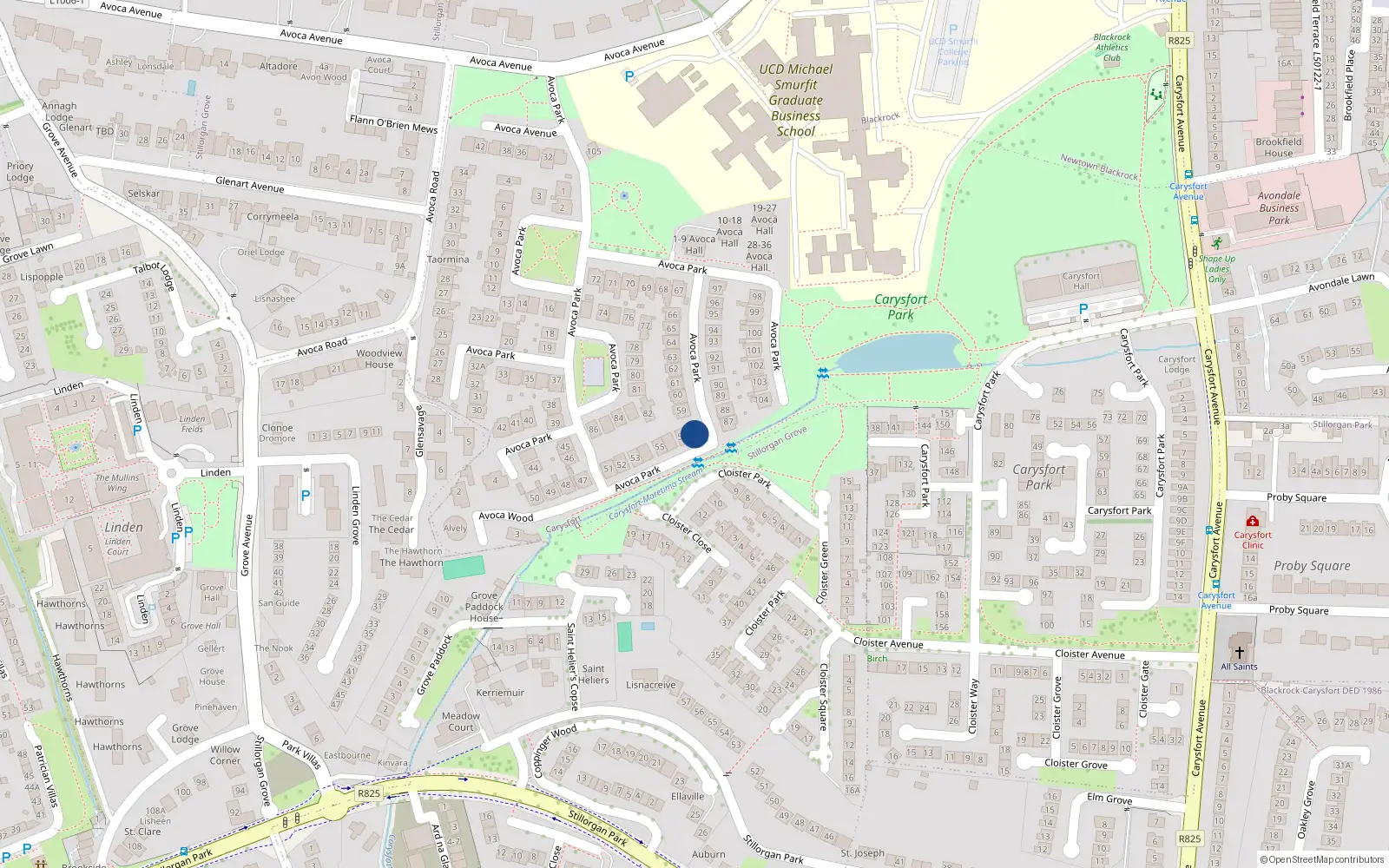Overhead map showing the location of 58 Avoca Park, Blackrock, Dublin