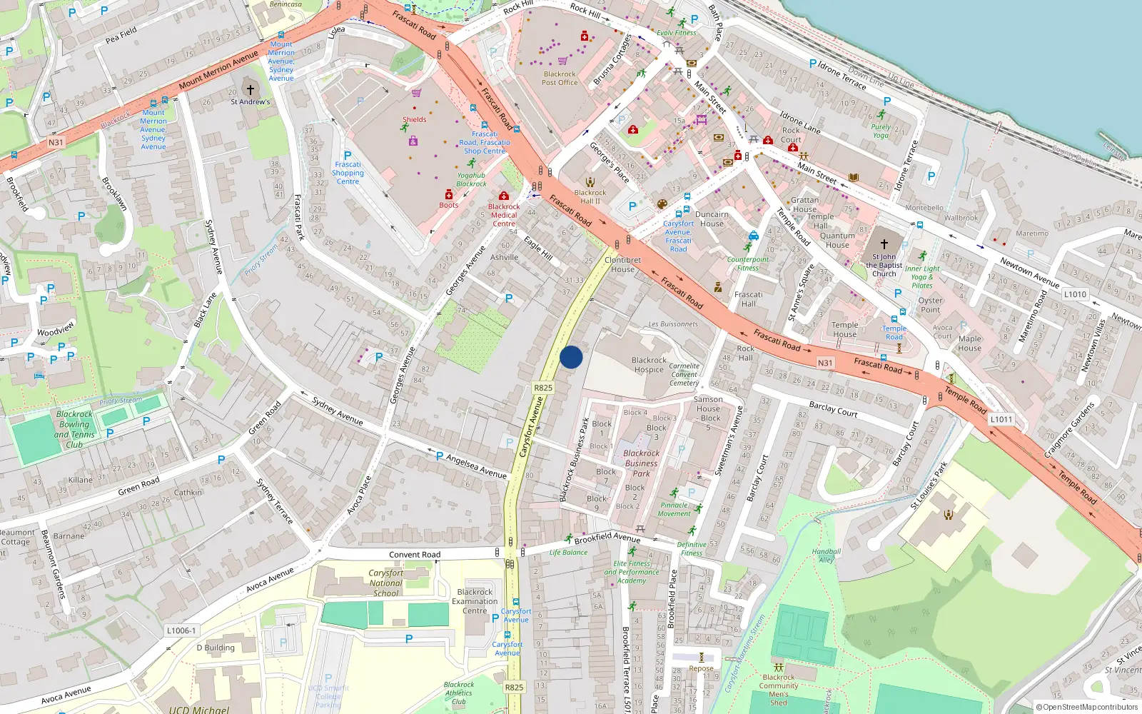 Overhead map showing the location of 58 Carysfort Avenue, Blackrock