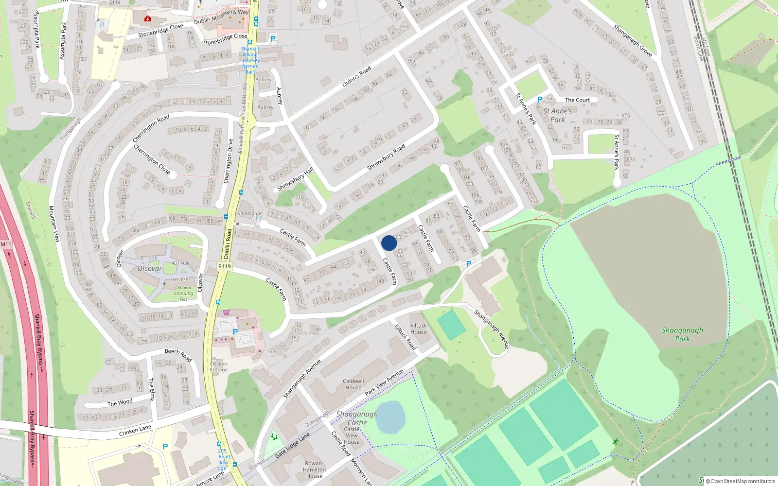 Overhead map showing the location of 58 Castle Farm, Shankill