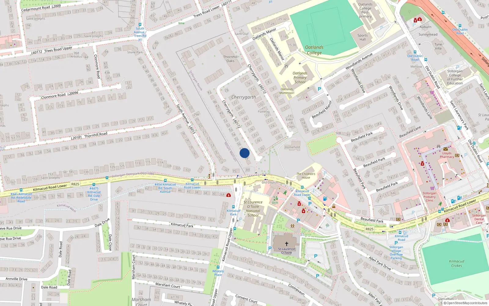 Overhead map showing the location of 58 Cherrygarth, Blackrock
