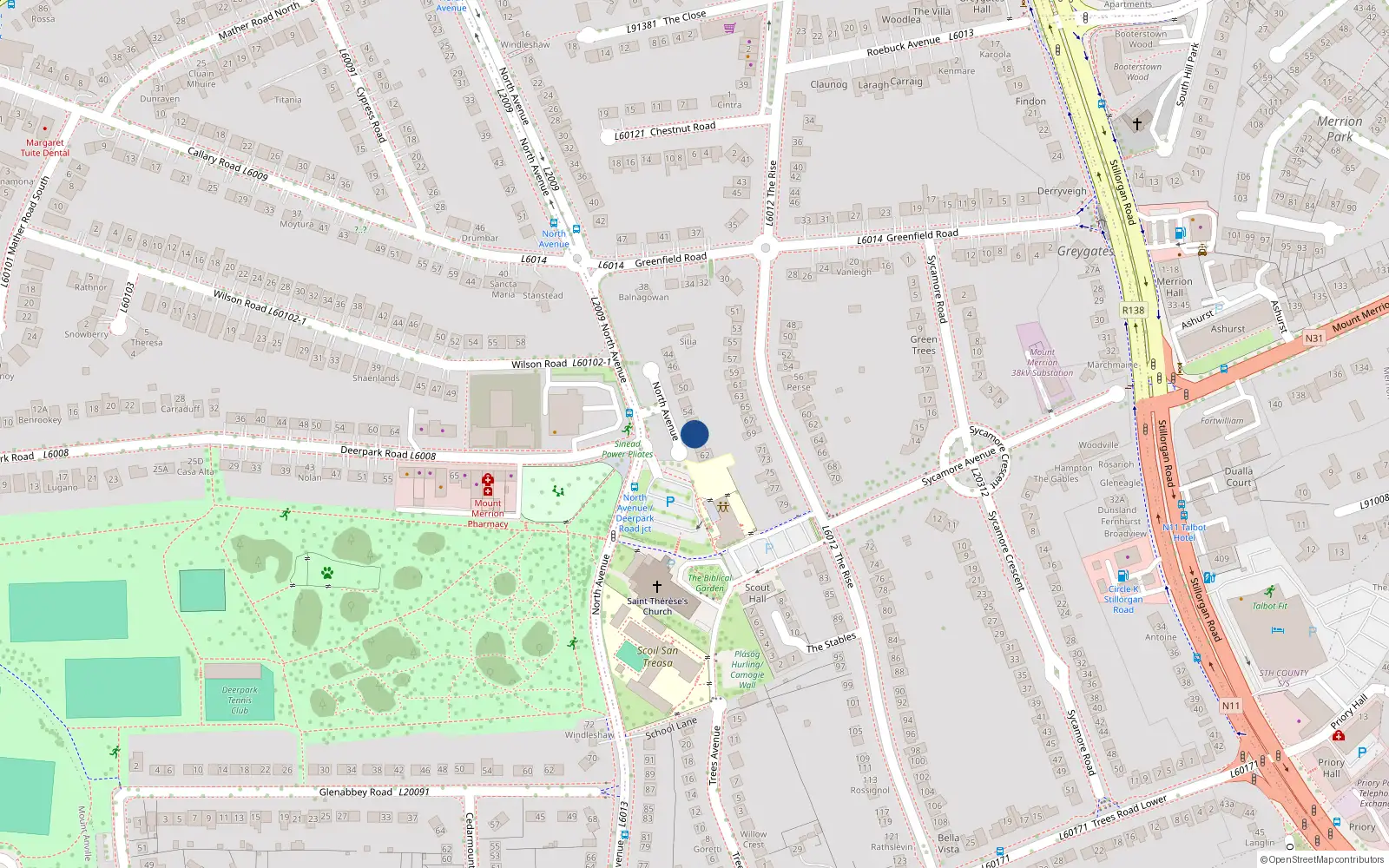 Overhead map showing the location of 58 North Avenue, Mount Merrion, Blackrock