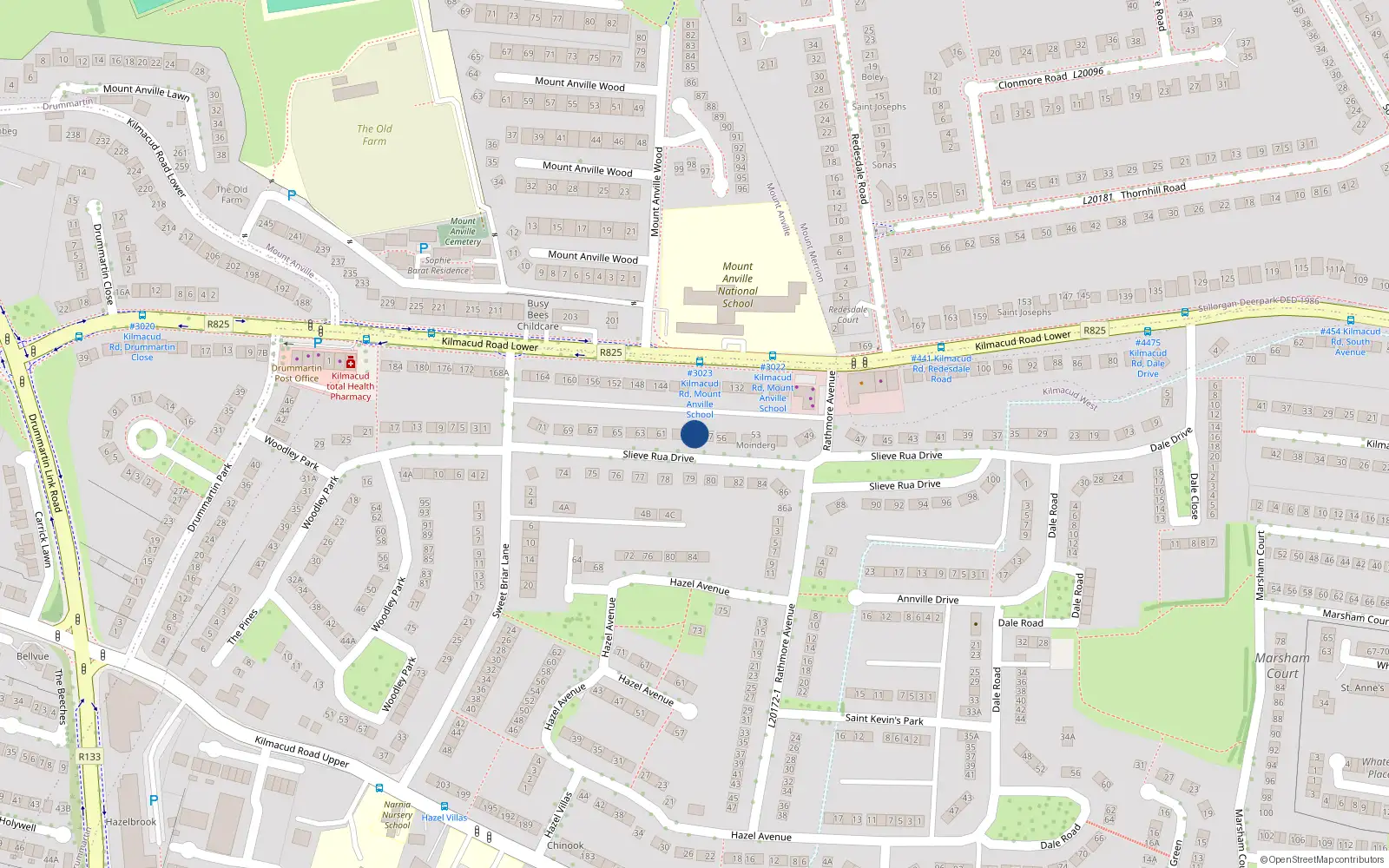 Overhead map showing the location of 58 Slieve Rua Drive, Blackrock
