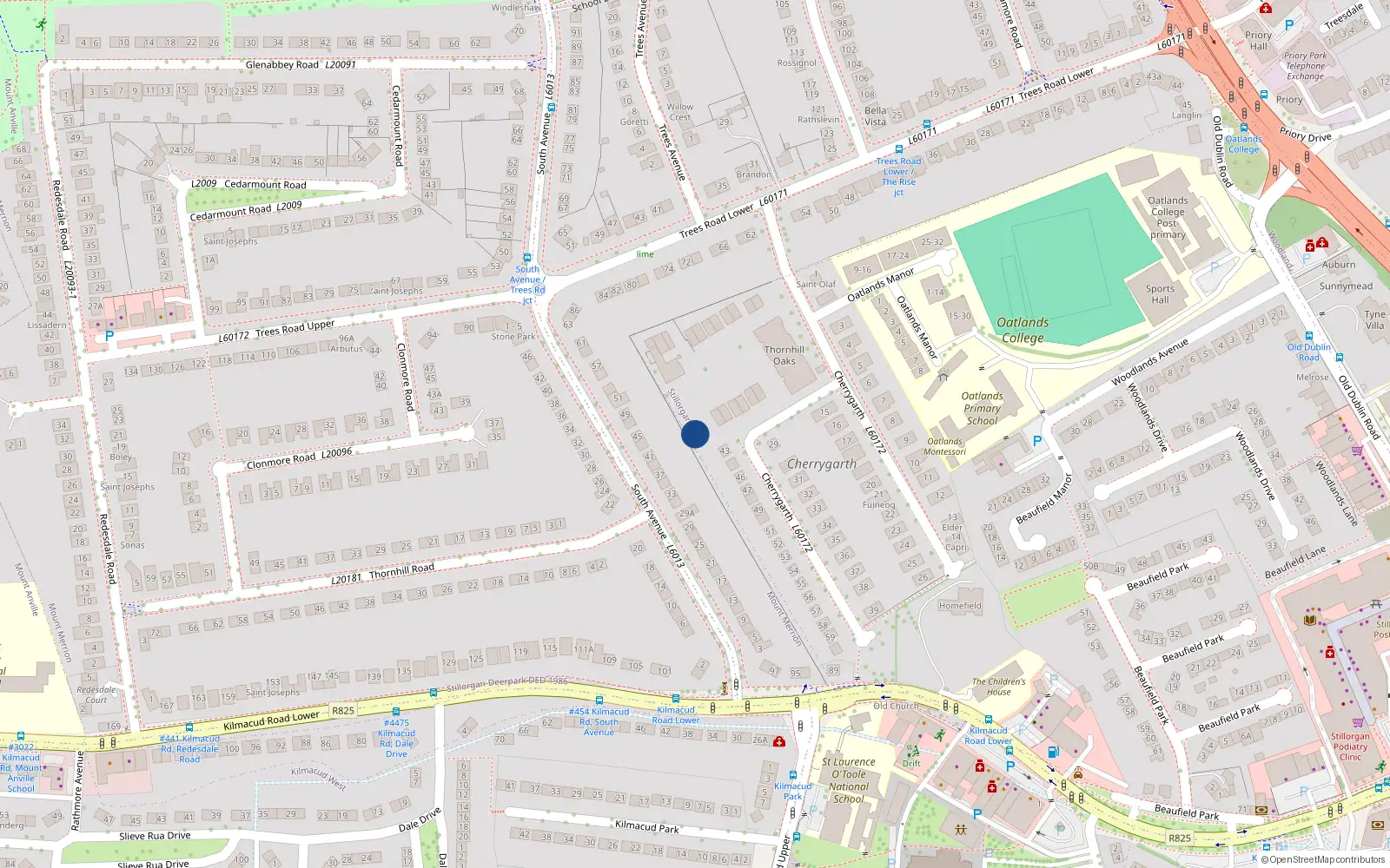 Overhead map showing the location of 58 Thornhill Oaks, Mount Merrion