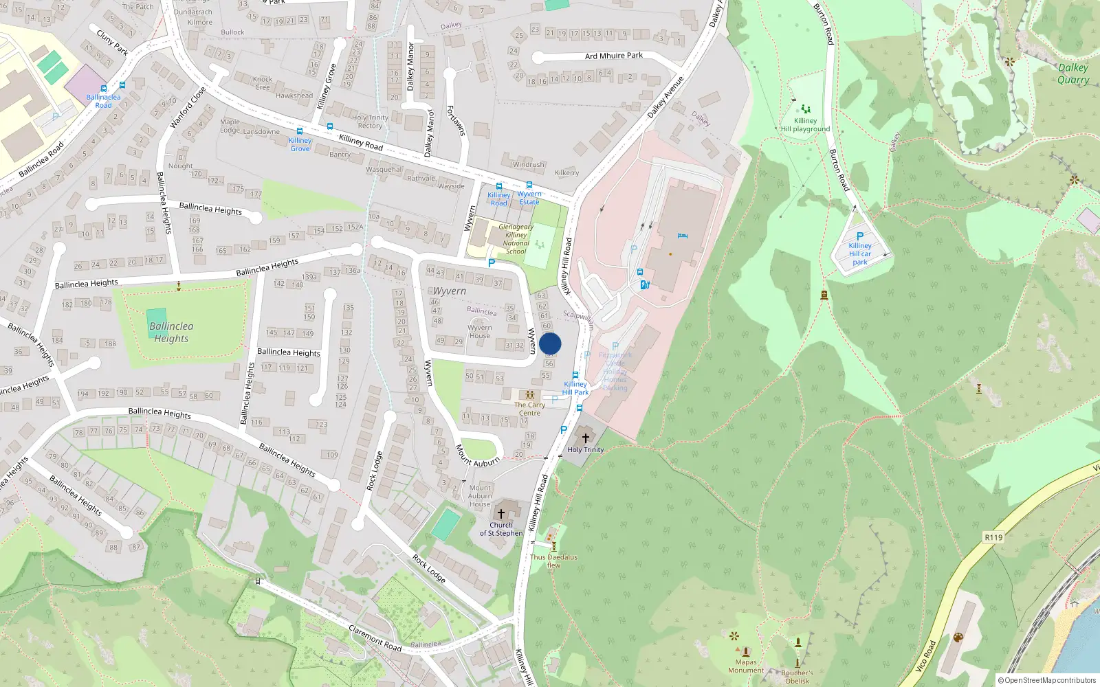 Overhead map showing the location of 58 Wyvern, Killiney