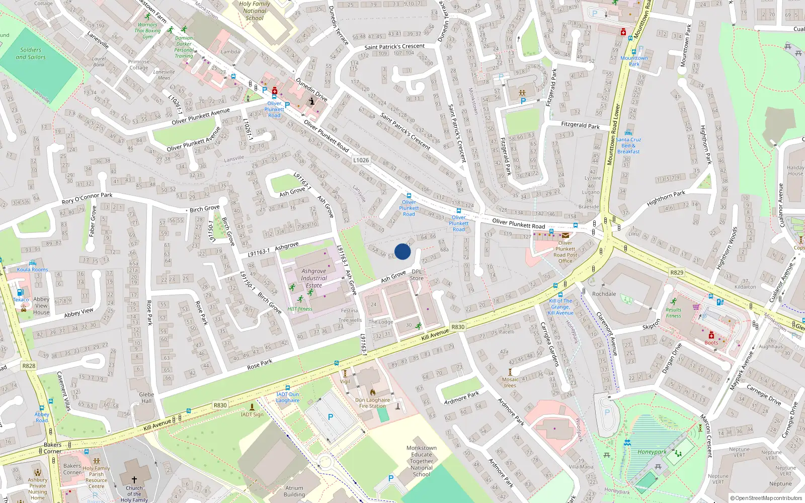 Overhead map showing the location of 59 Ashgrove, Dublin