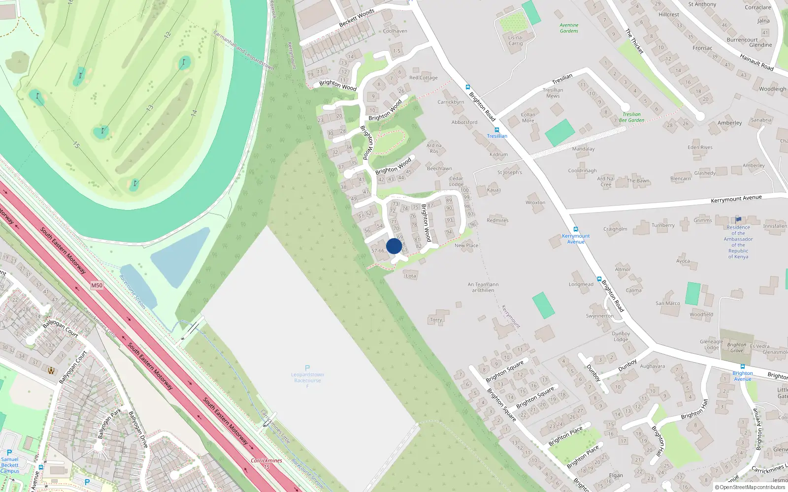 Overhead map showing the location of 59 Brighton Wood, Foxrock
