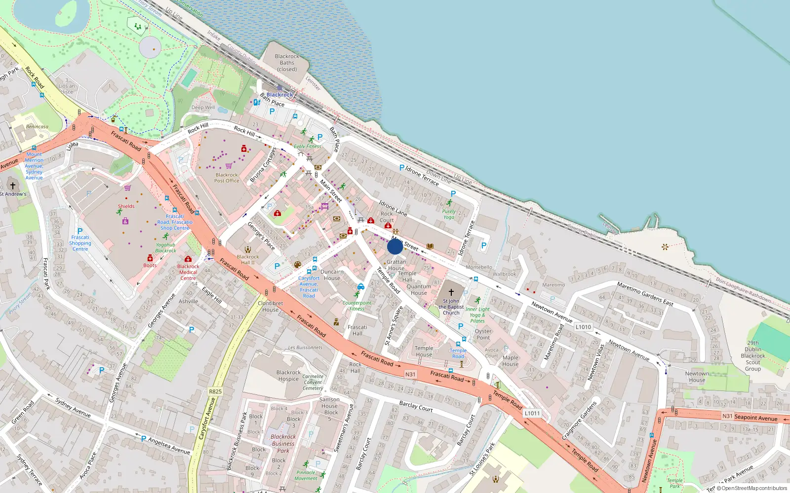 Overhead map showing the location of 59 Main St, Blackrock, Dublin