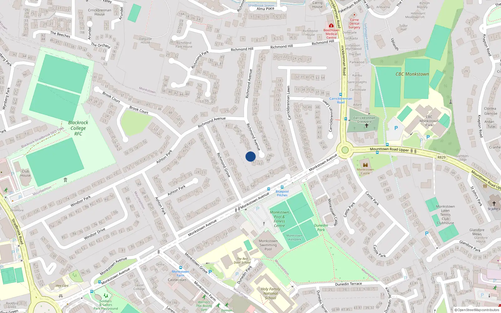 Overhead map showing the location of 59 Richmond Avenue, Monkstown