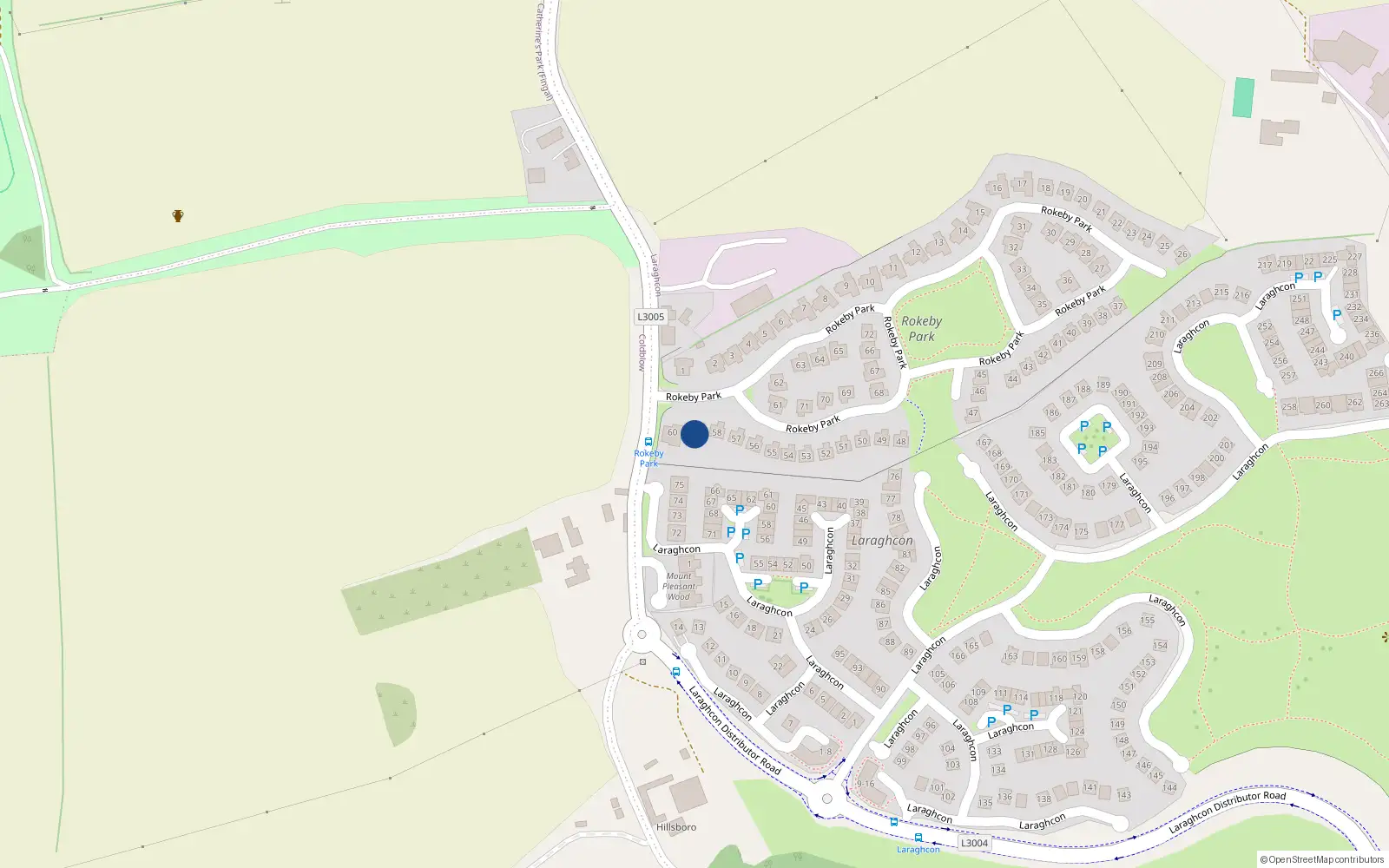 Overhead map showing the location of 59 Rokeby Park, Lucan