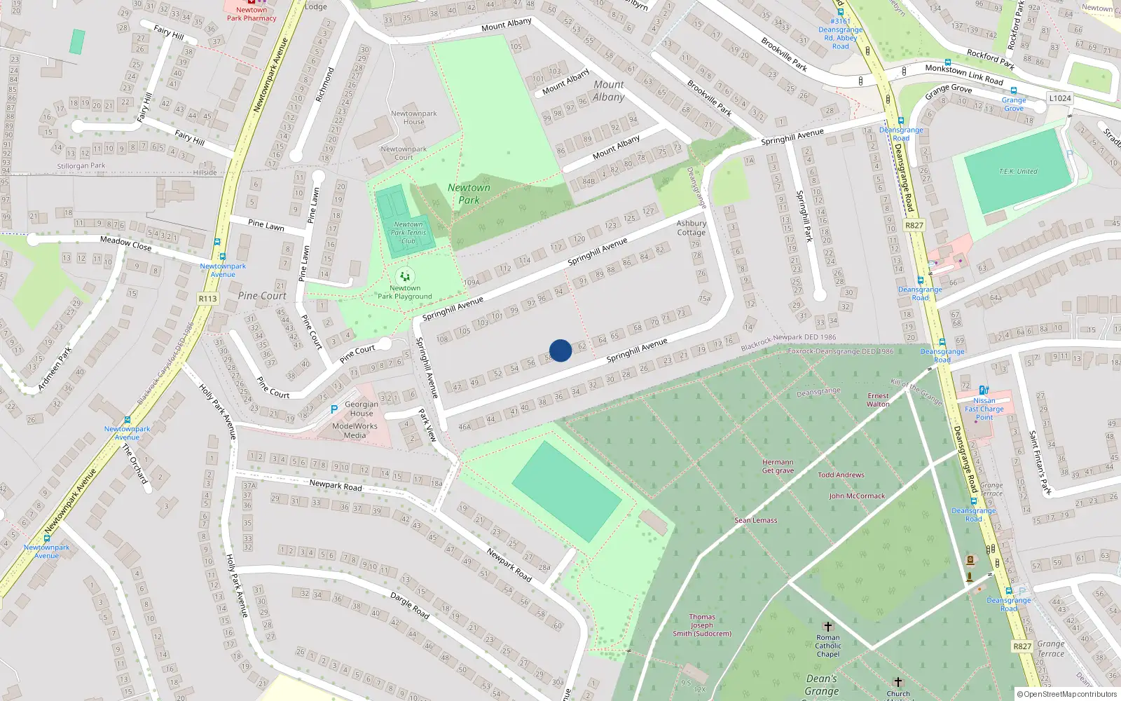 Overhead map showing the location of 59 Springhill Avenue, Blackrock