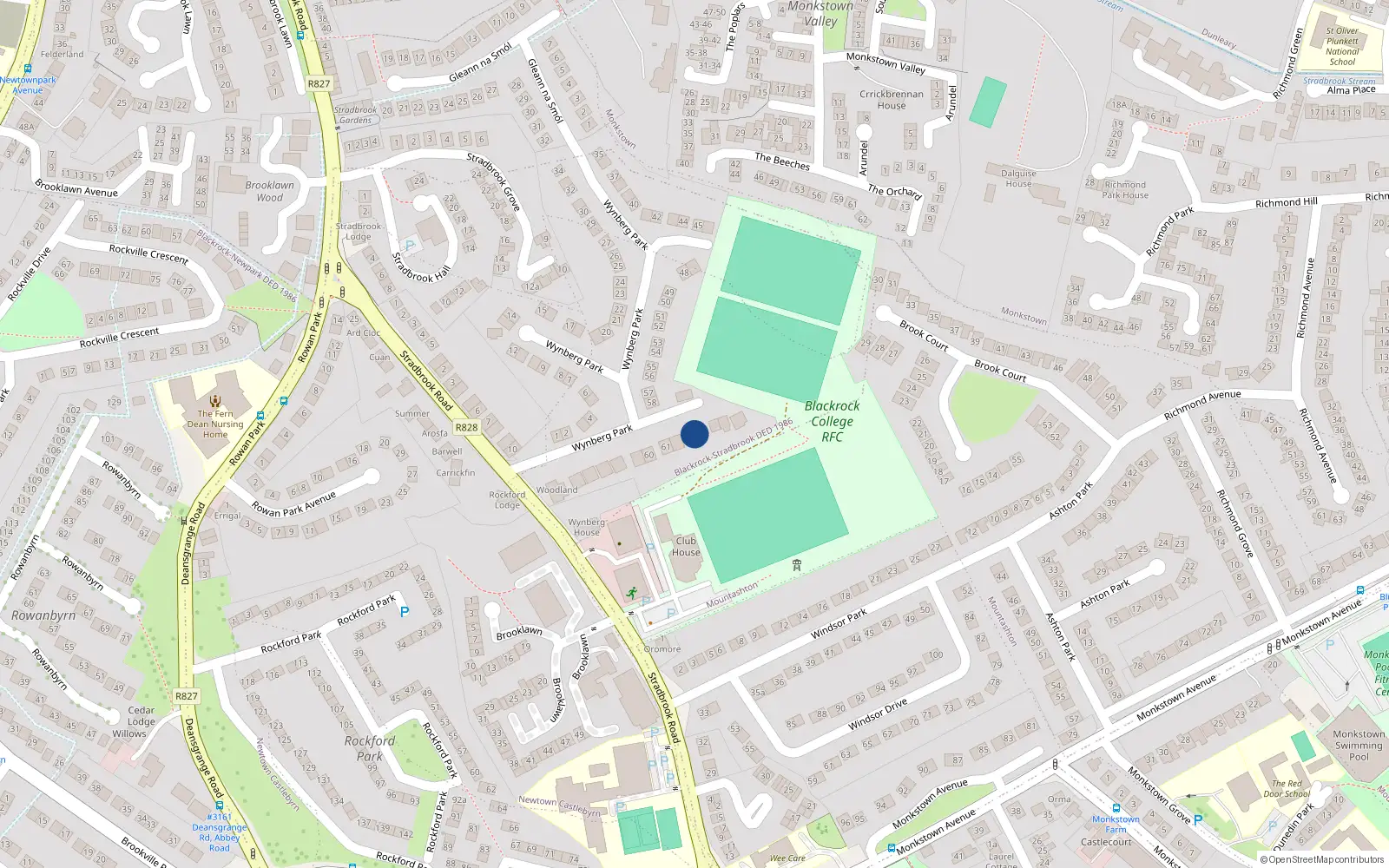 Overhead map showing the location of 59 Wynberg Park, Blackrock