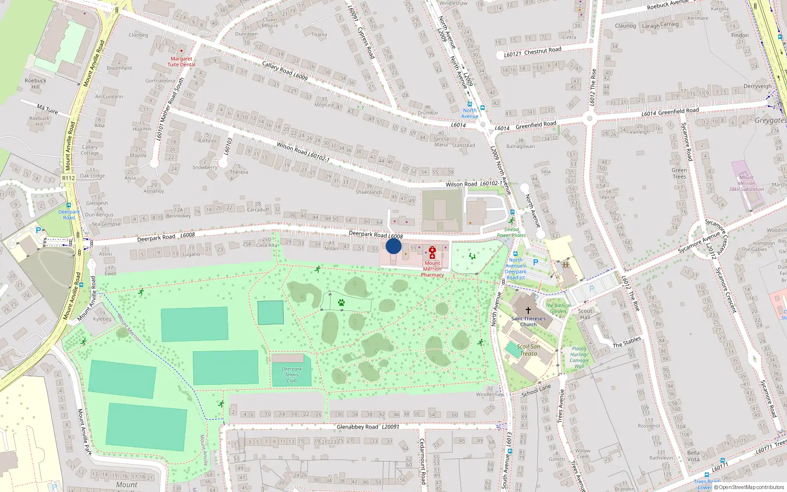 Overhead map showing the location of 59 Deerpark Road, Blackrock