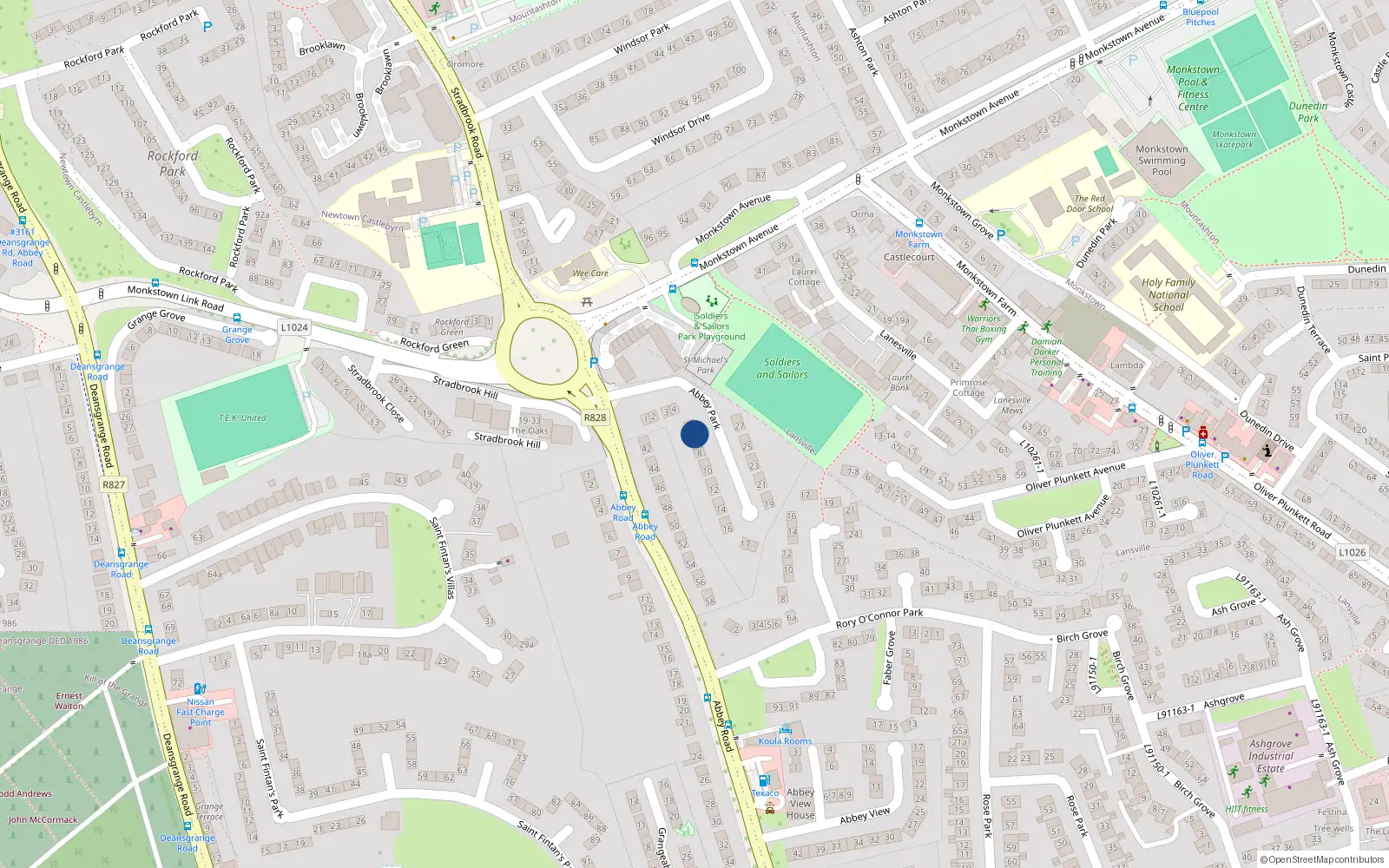 Overhead map showing the location of 6 Abbey Park, Monkstown