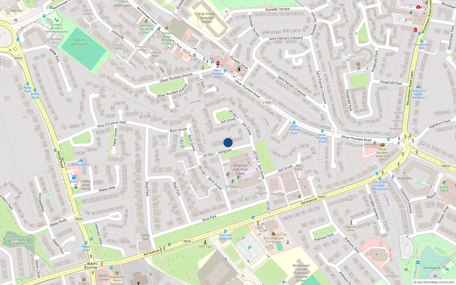Overhead map showing the location of 6 Ash Grove, Kill Avenue, Dun Laoghaire